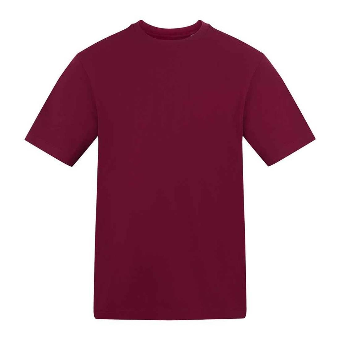Awdis Unisex Adult Cotton T-Shirt