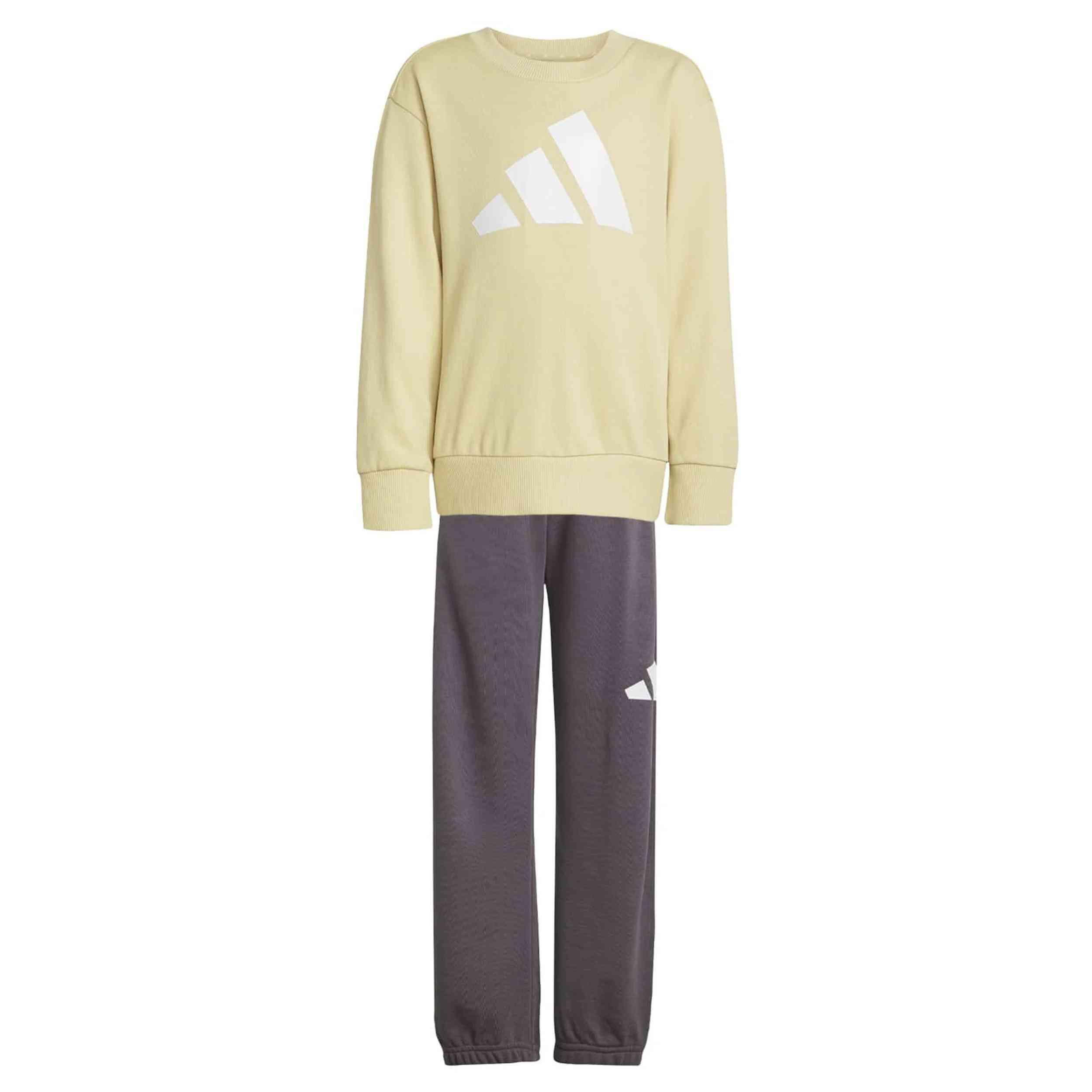 ADIDAS picture