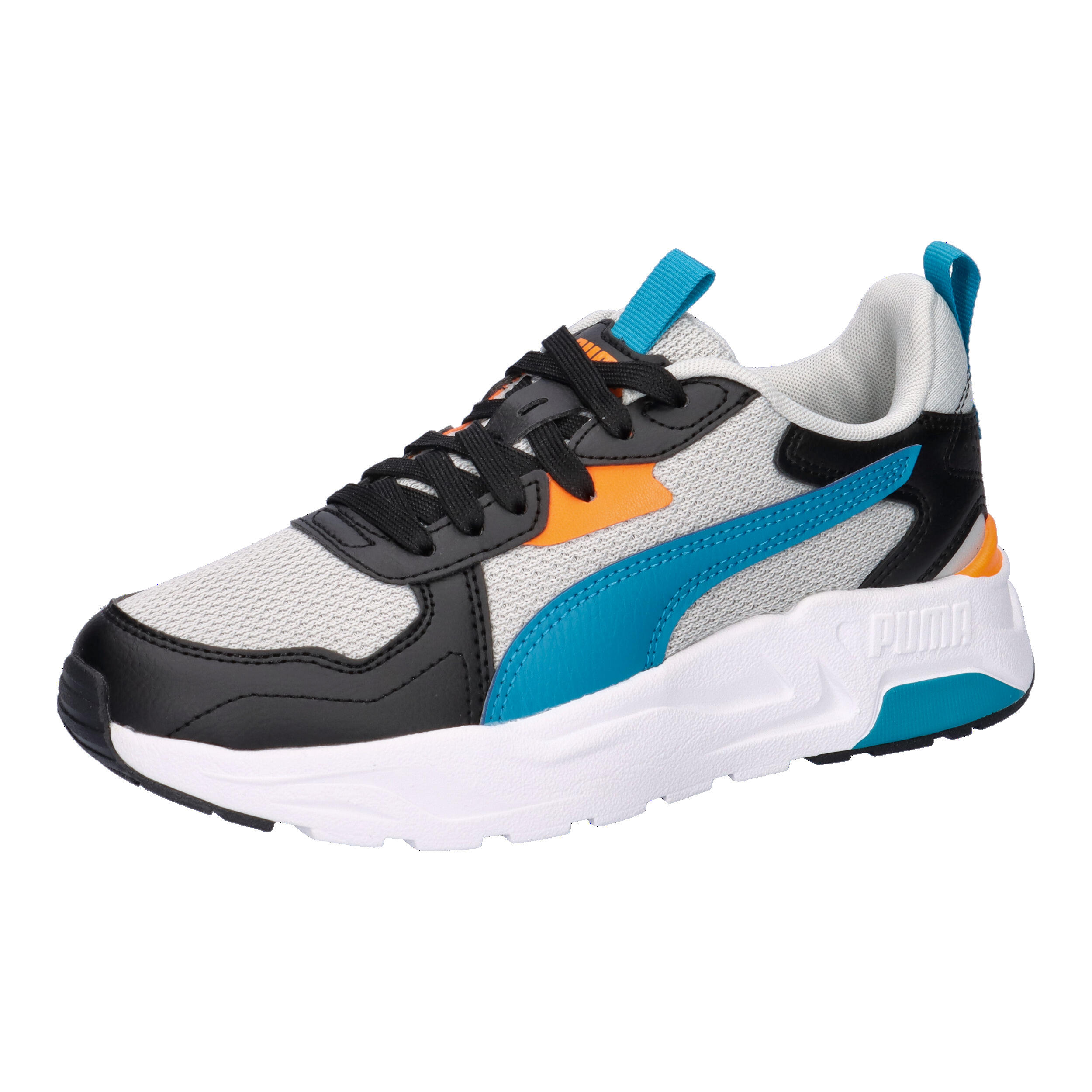 PUMA picture