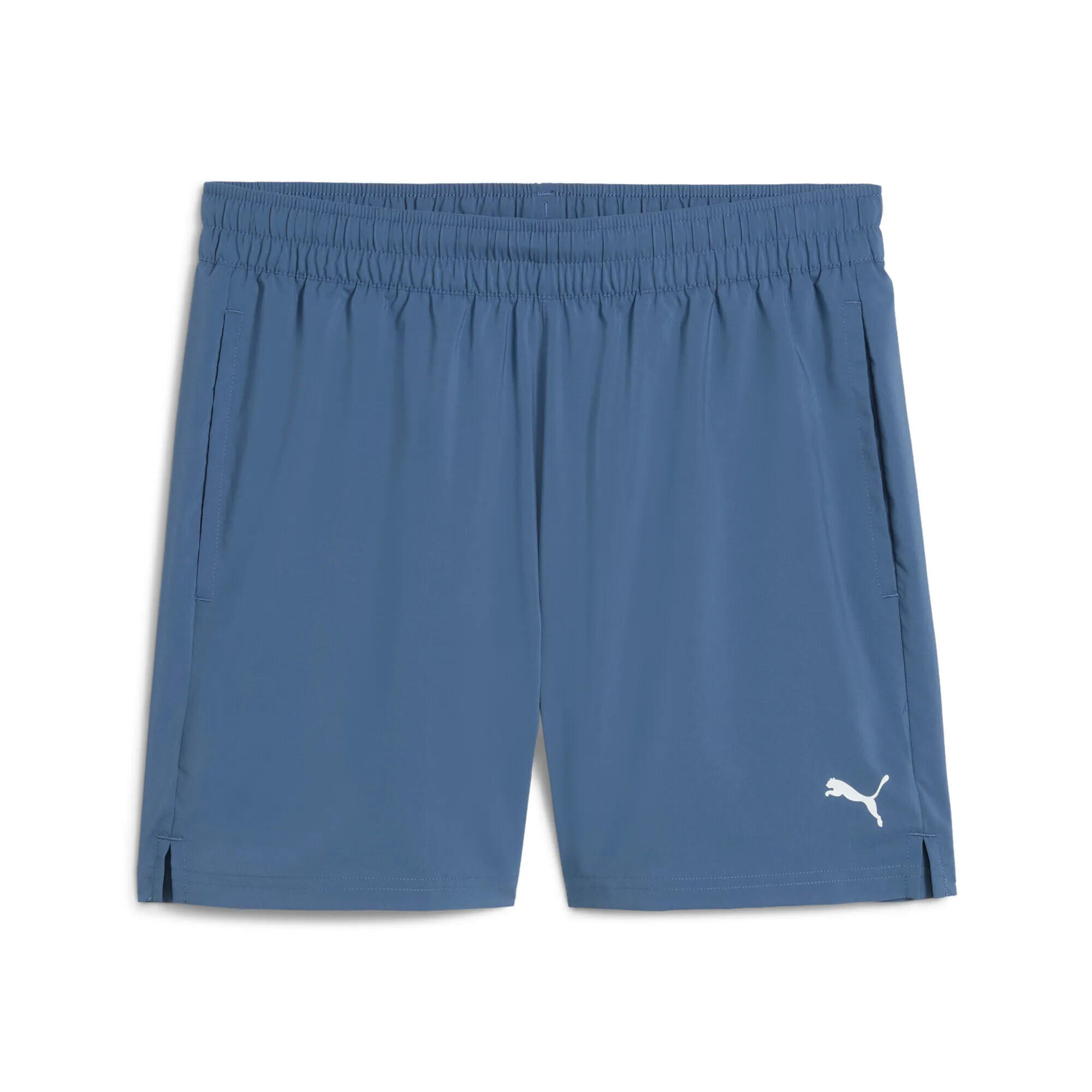 PUMA picture
