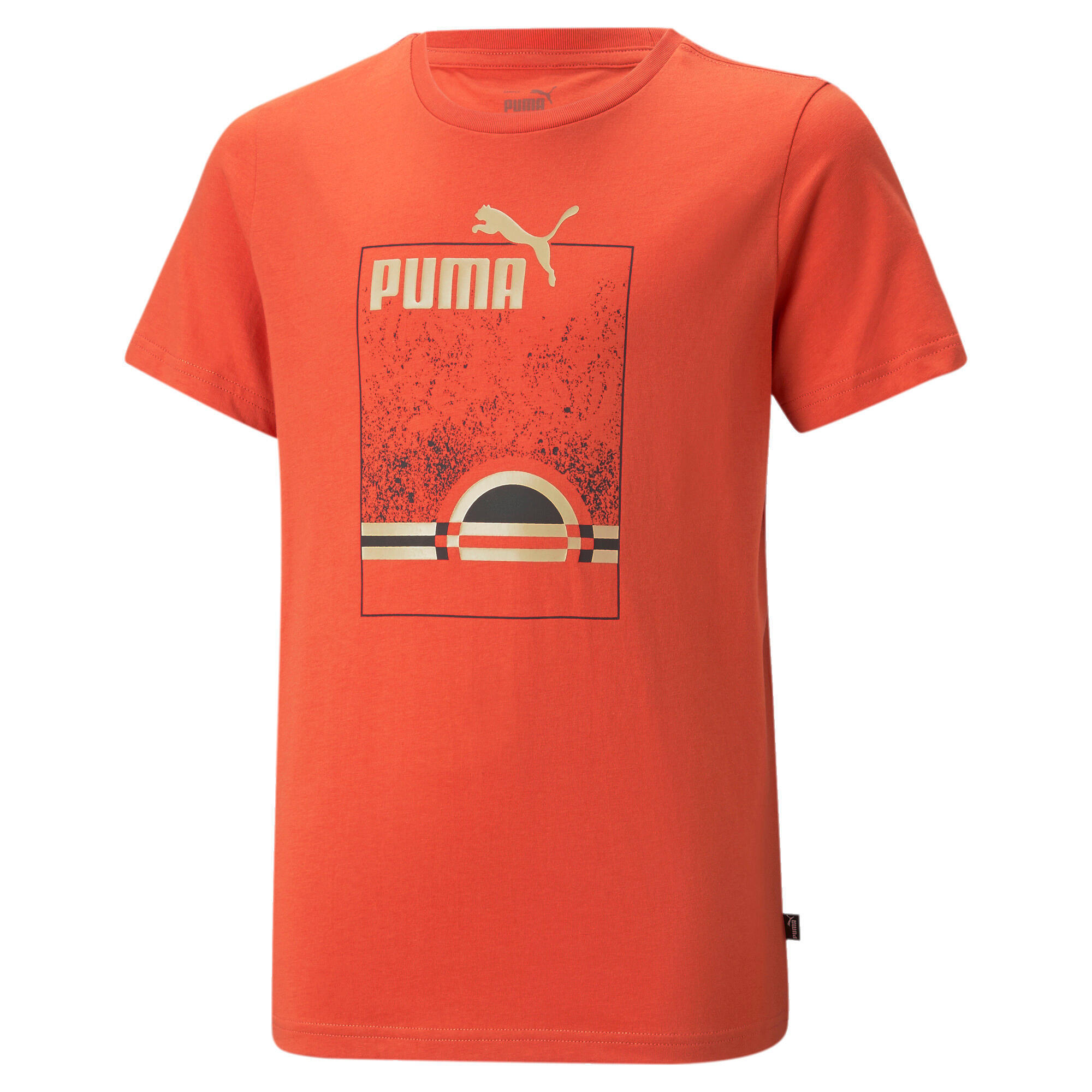 PUMA picture