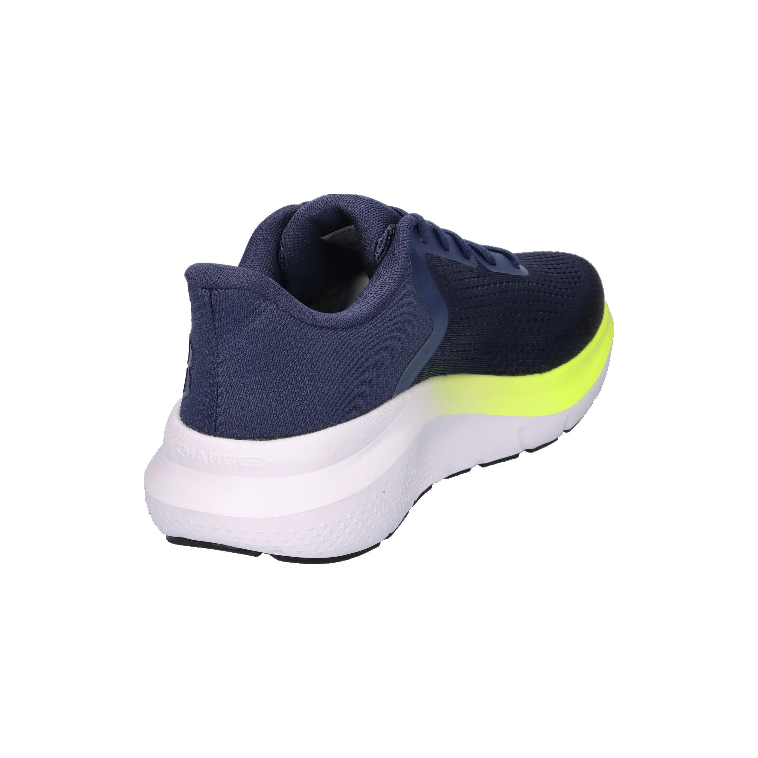 Herrenschuhe Under Armour Charged Rogue 5 Blau Blau 6/7
