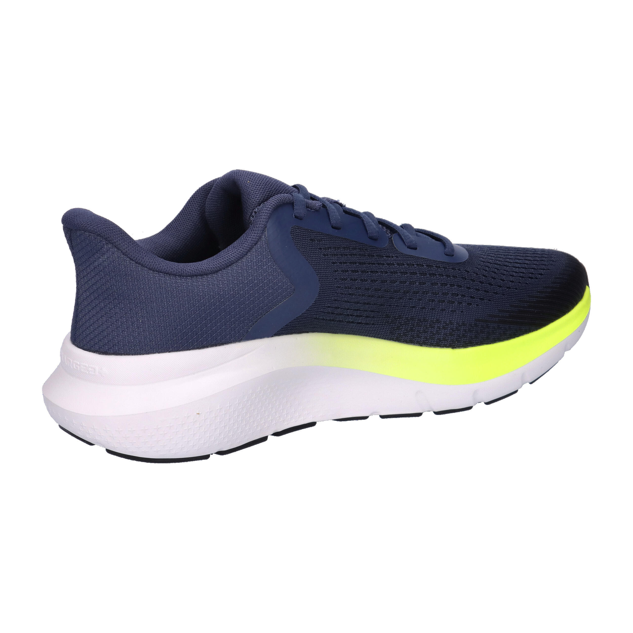 Herrenschuhe Under Armour Charged Rogue 5 Blau Blau 7/7