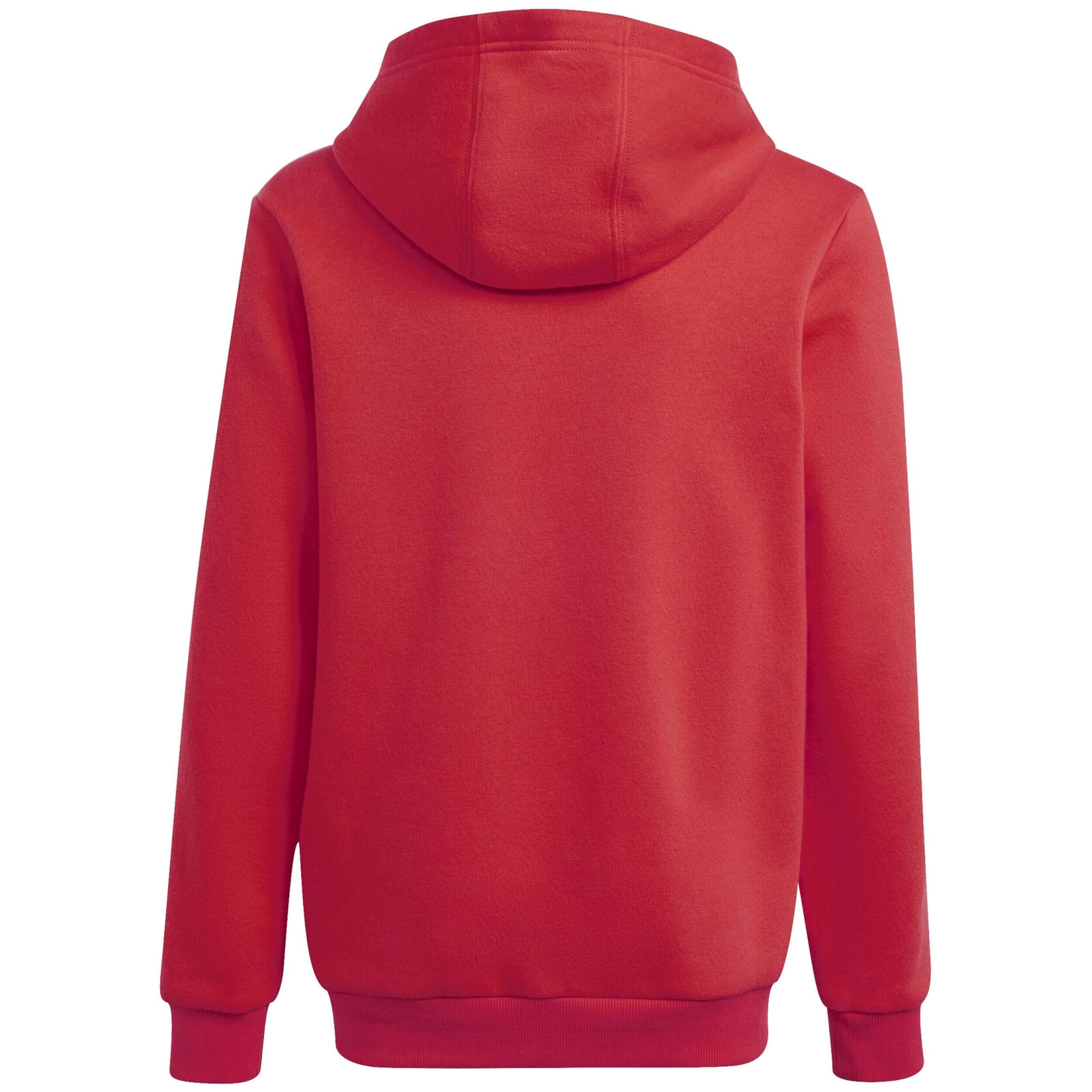 Felpa con cappuccio Adidas modello IW7953 per ragazzi 3/5