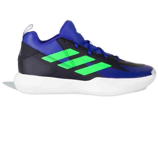 Zapatillas Adidas modelo JR2522 para niños