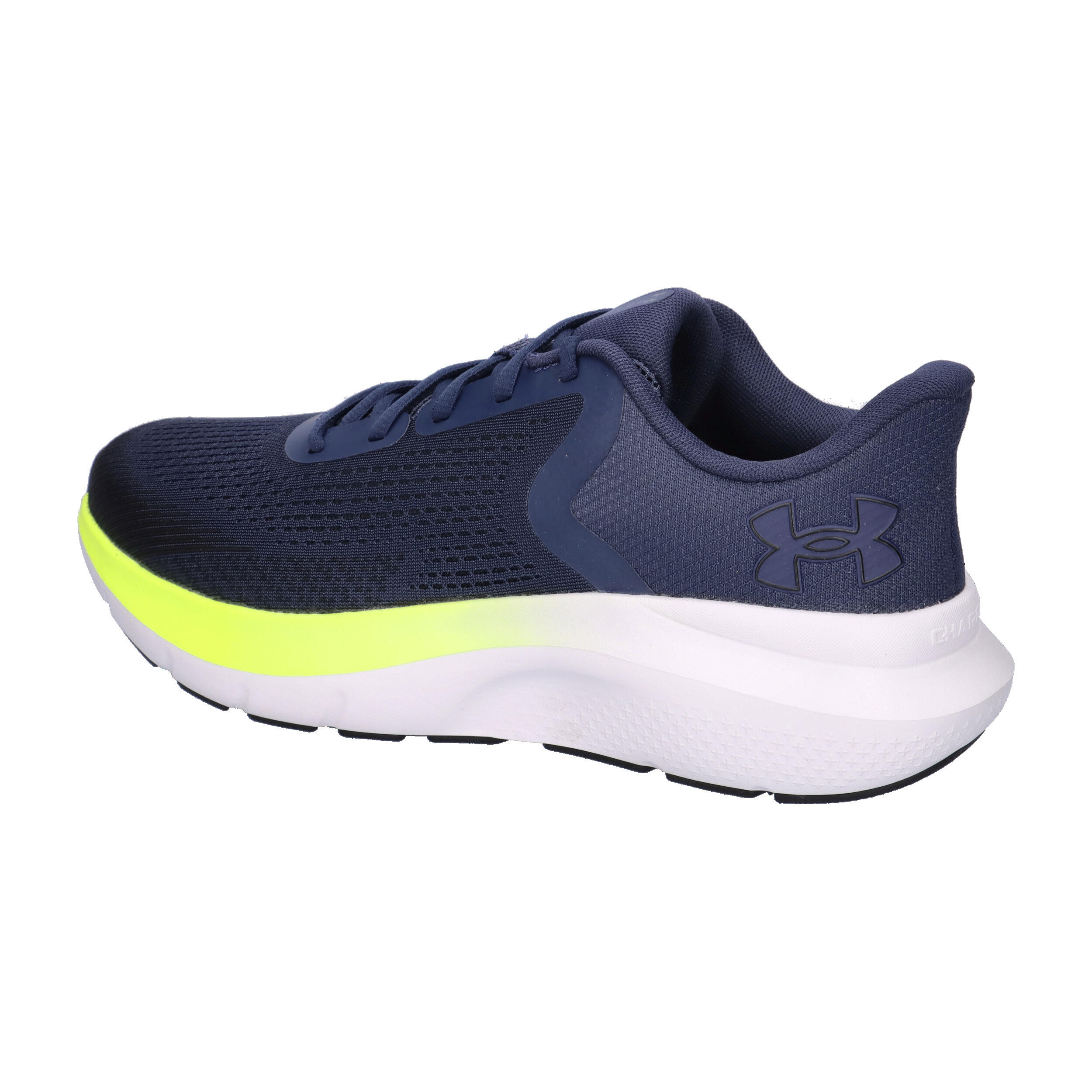 Herrenschuhe Under Armour Charged Rogue 5 Blau Blau 3/7