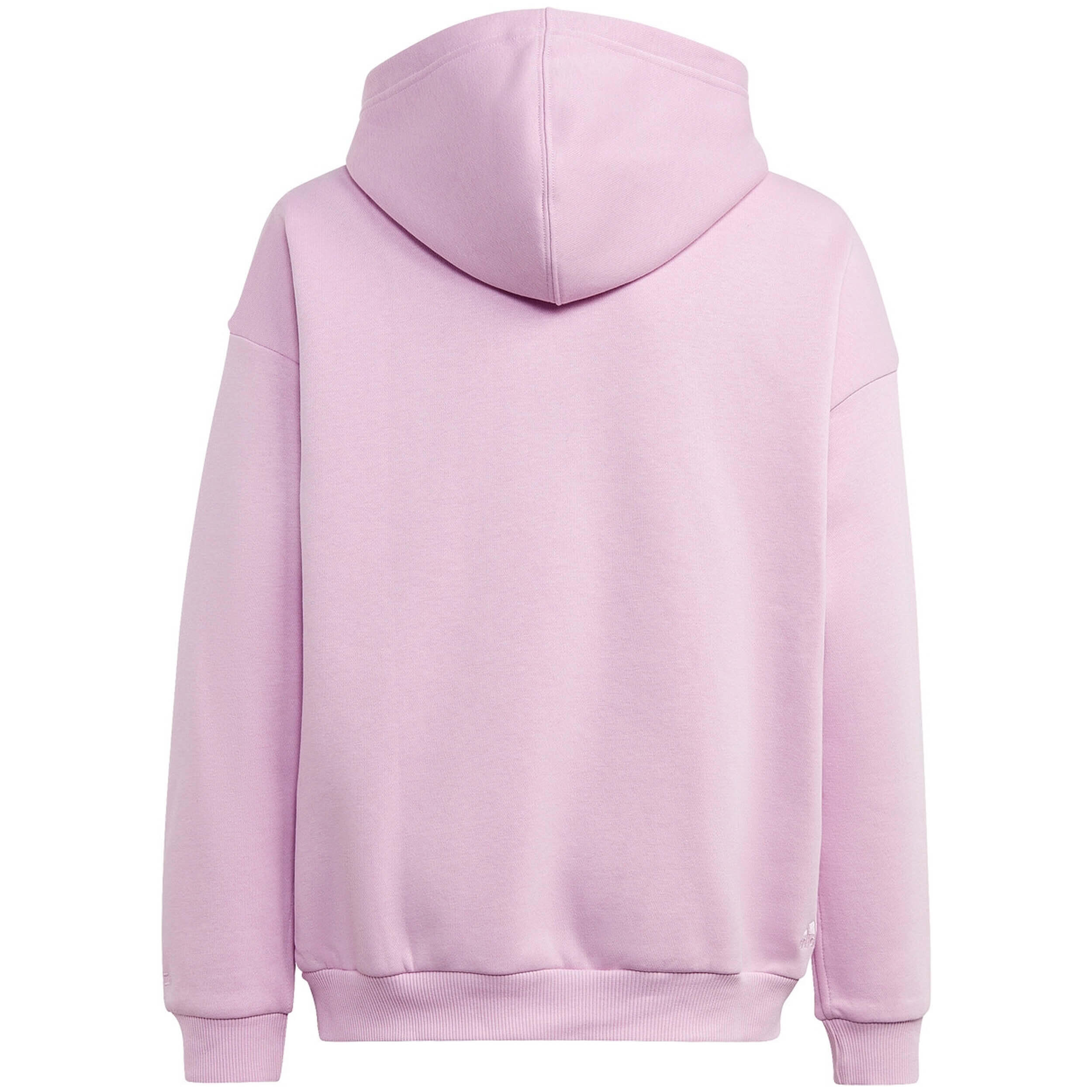 Sudadera con capucha Adidas modelo IJ5954 para niños unisex 2/5