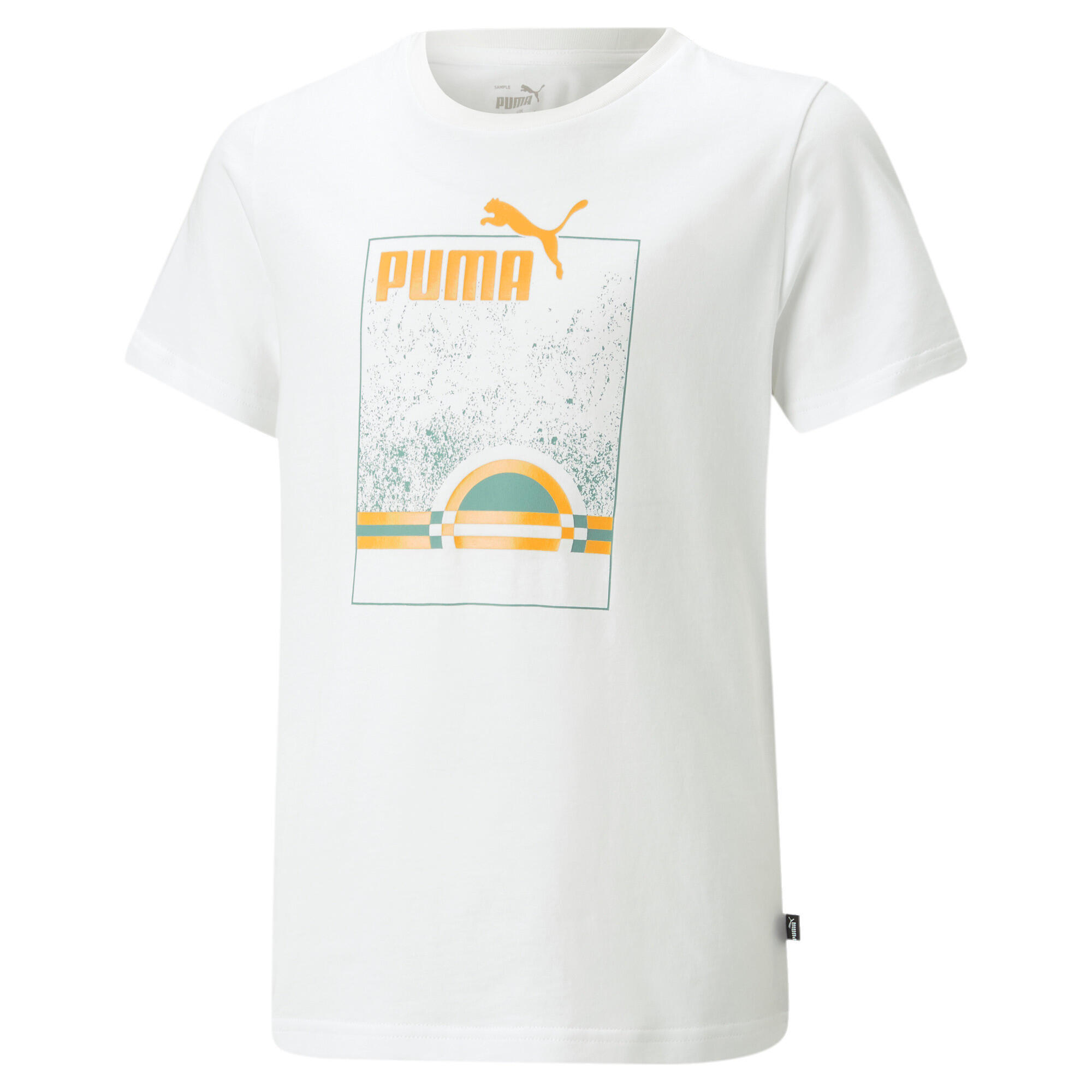 PUMA picture