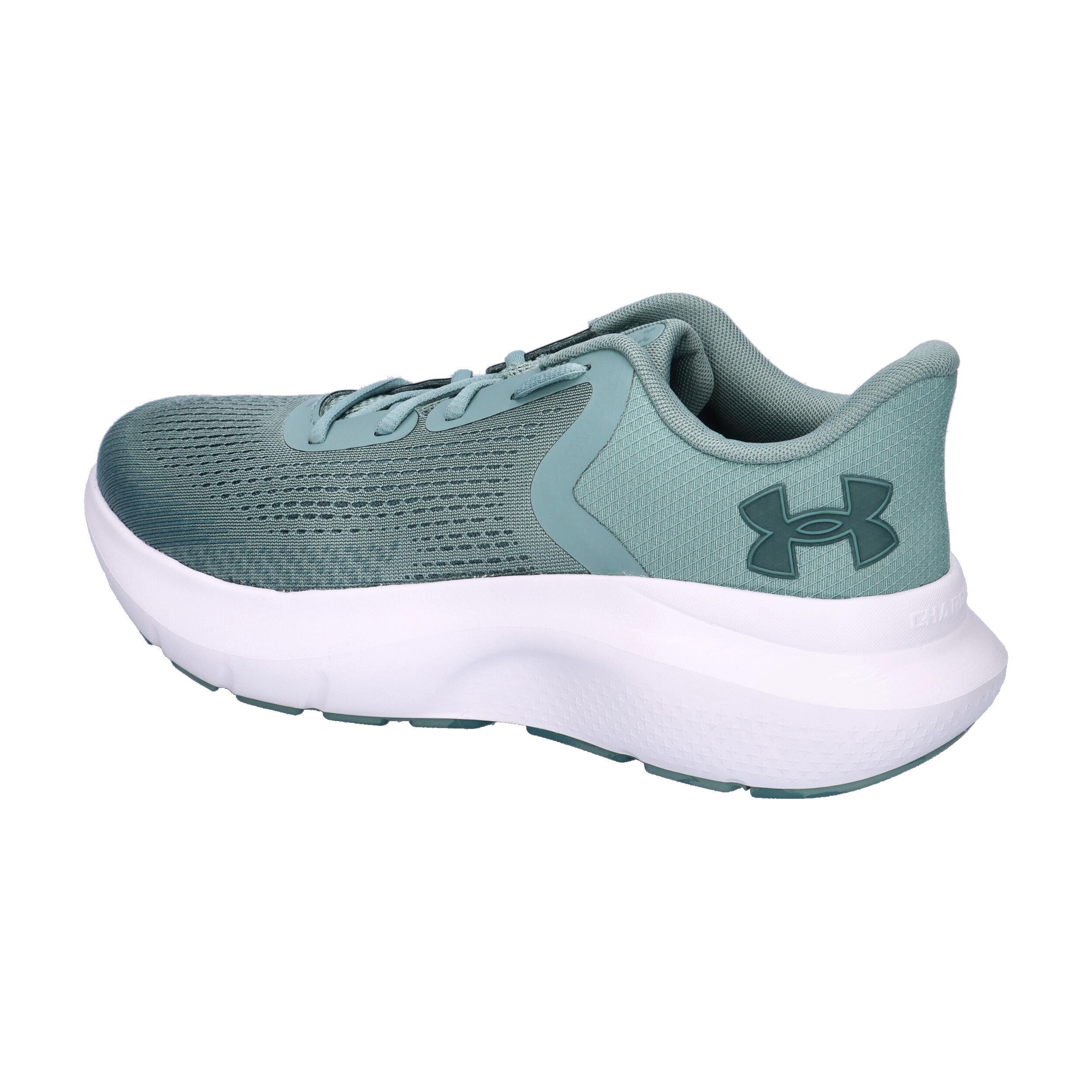Under Armour Herren Laufschuhe UA Charged Rogue 5 3028256 11/15