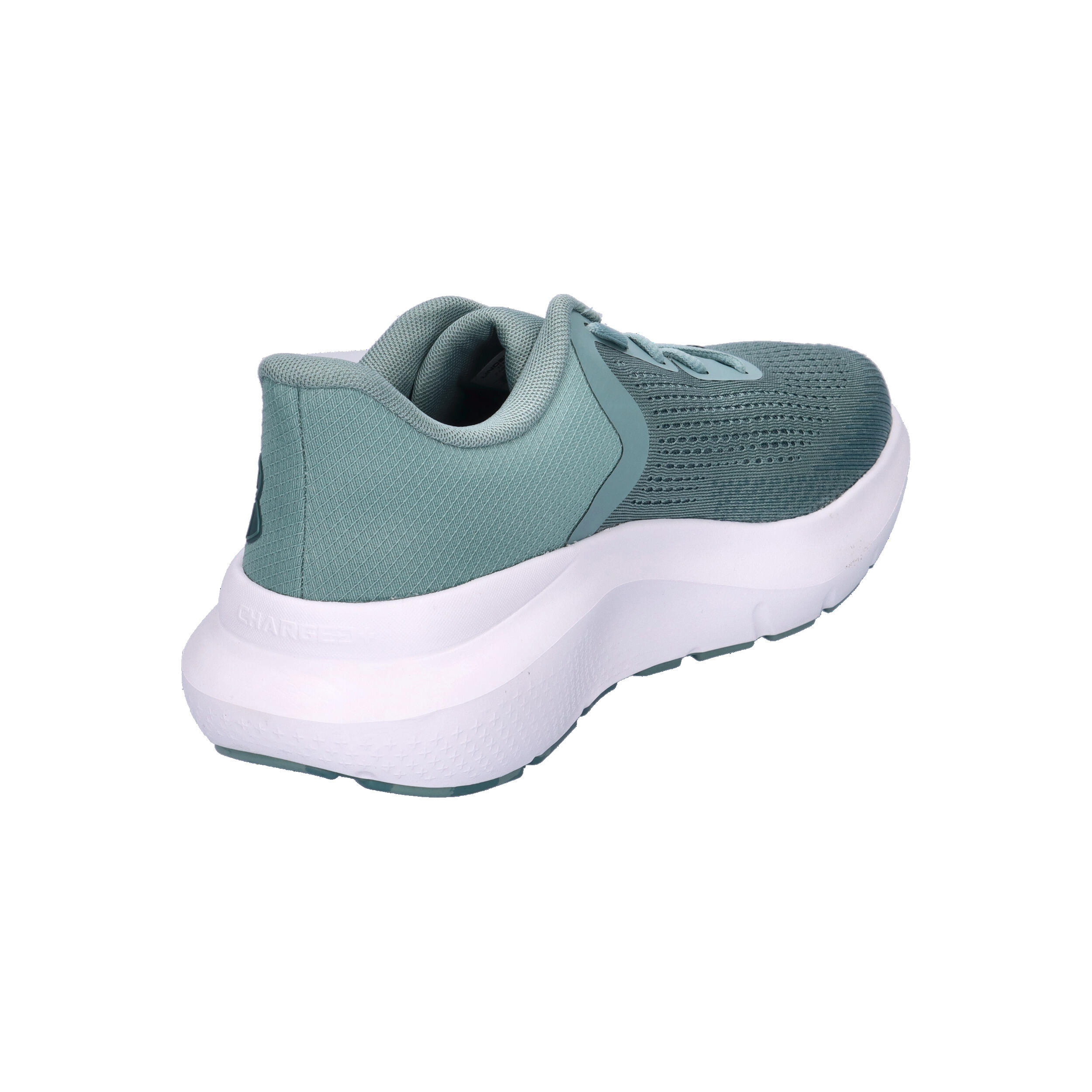 Under Armour Herren Laufschuhe UA Charged Rogue 5 3028256 14/15