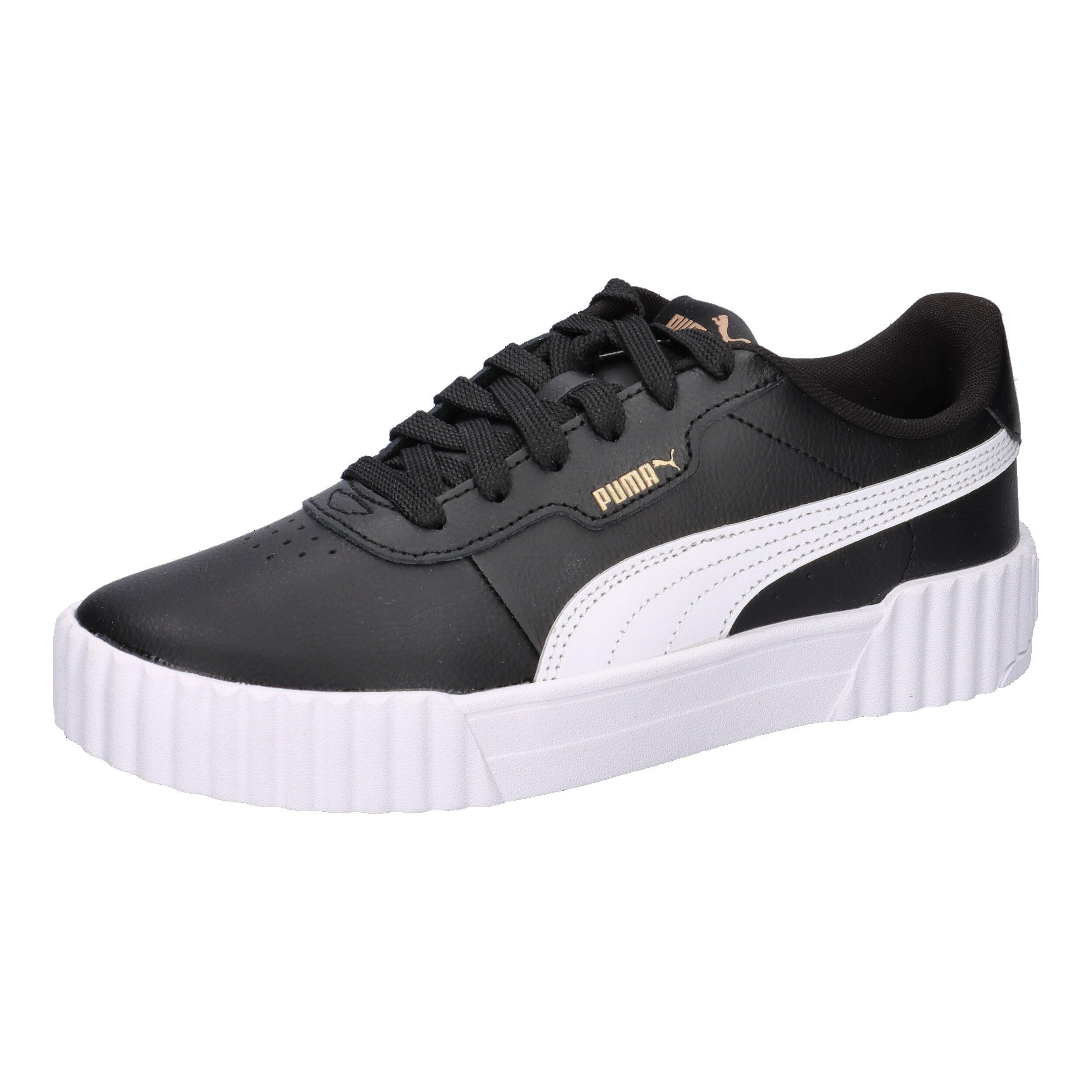 PUMA picture