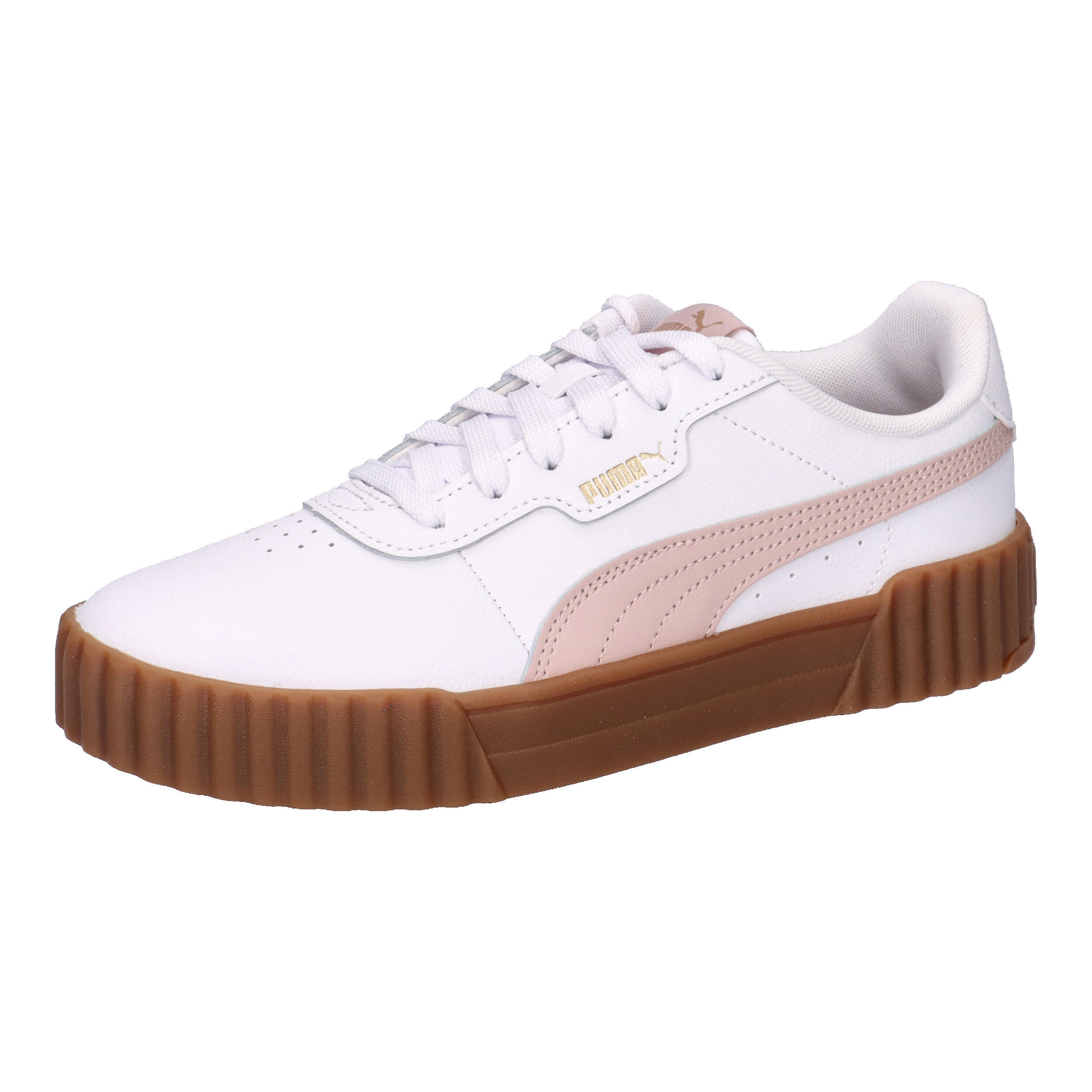 PUMA picture