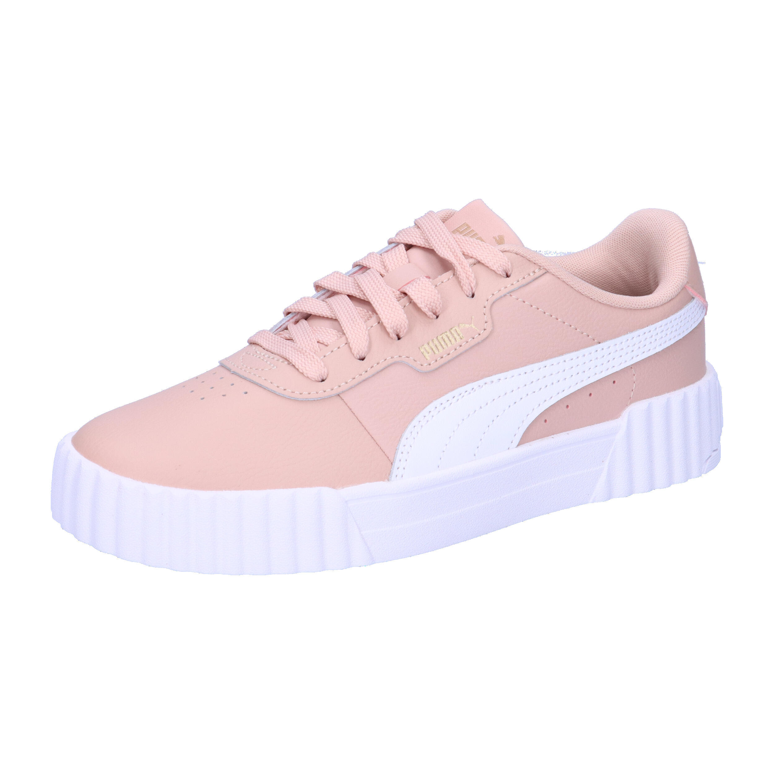 PUMA picture