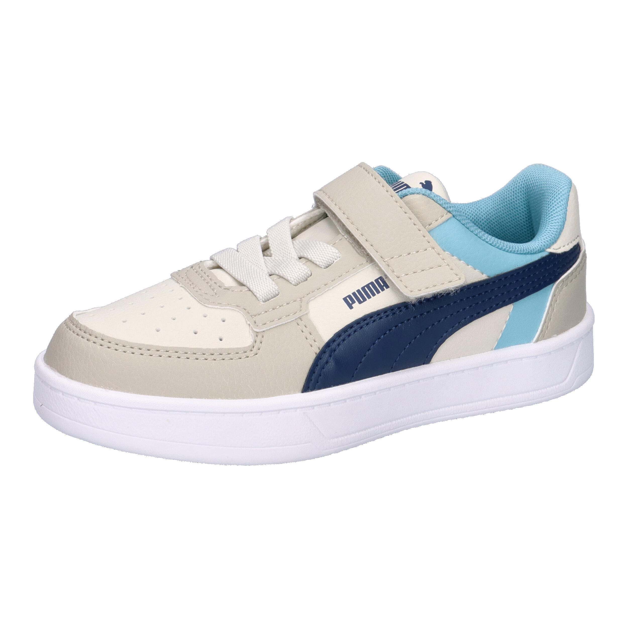 PUMA picture