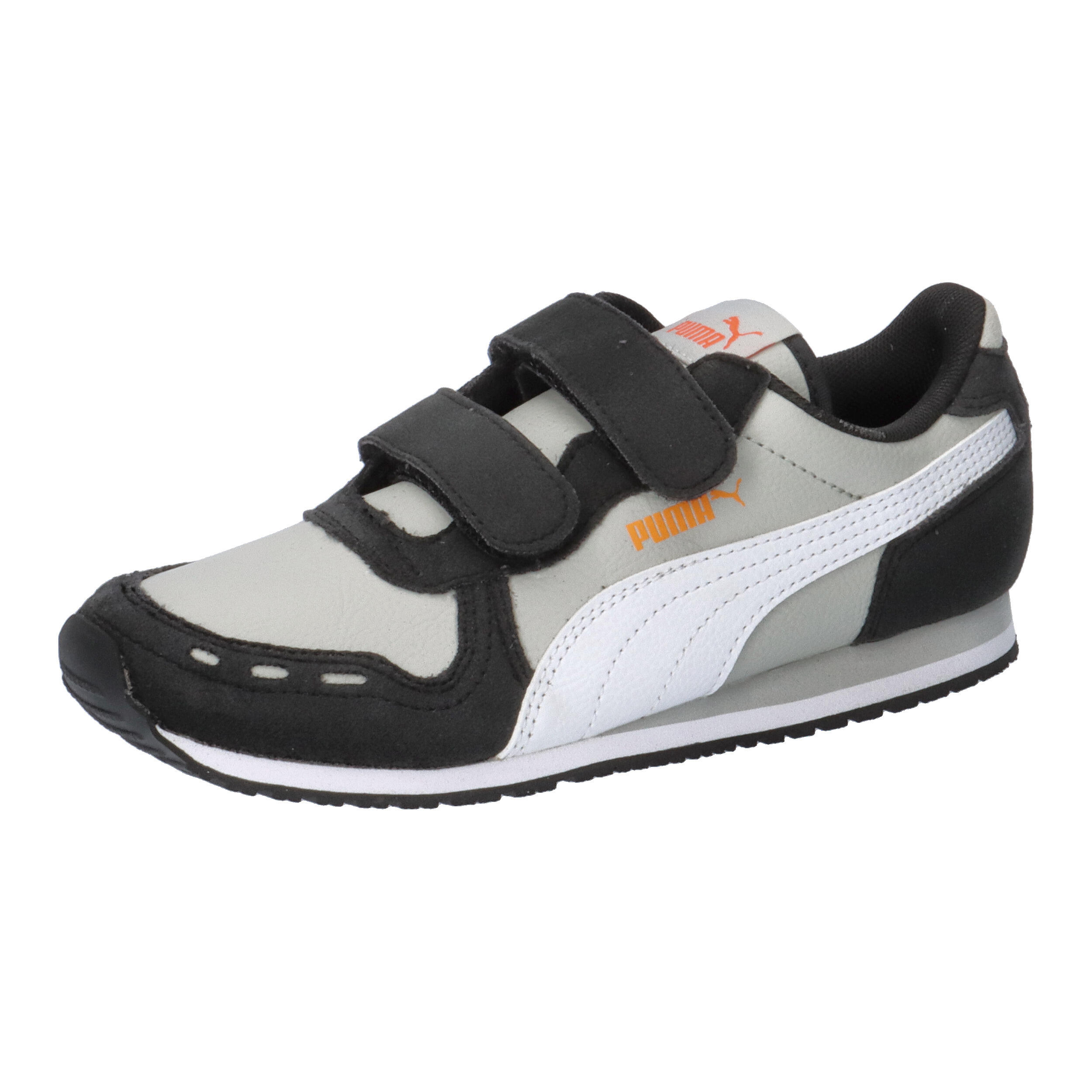 PUMA picture