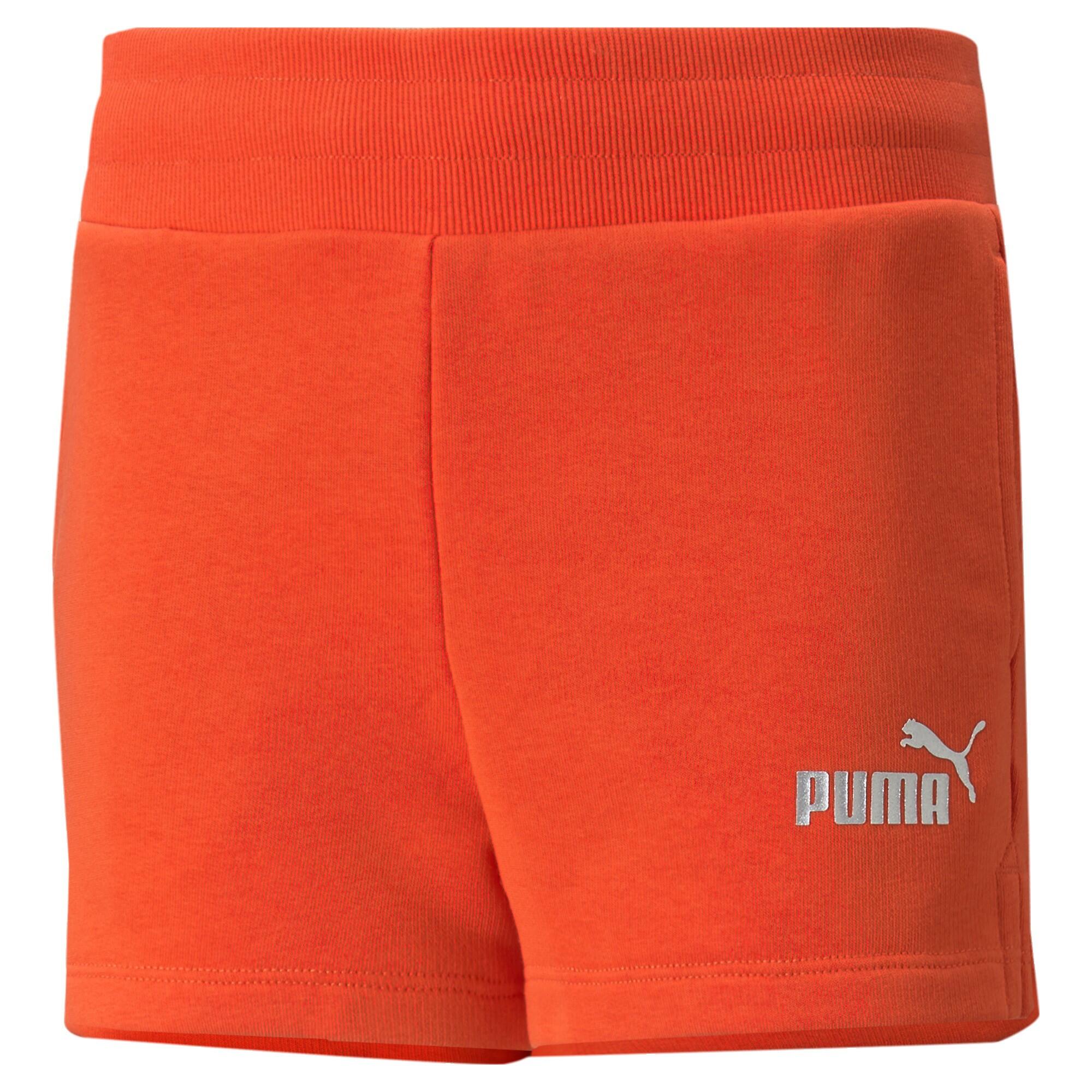 PUMA picture