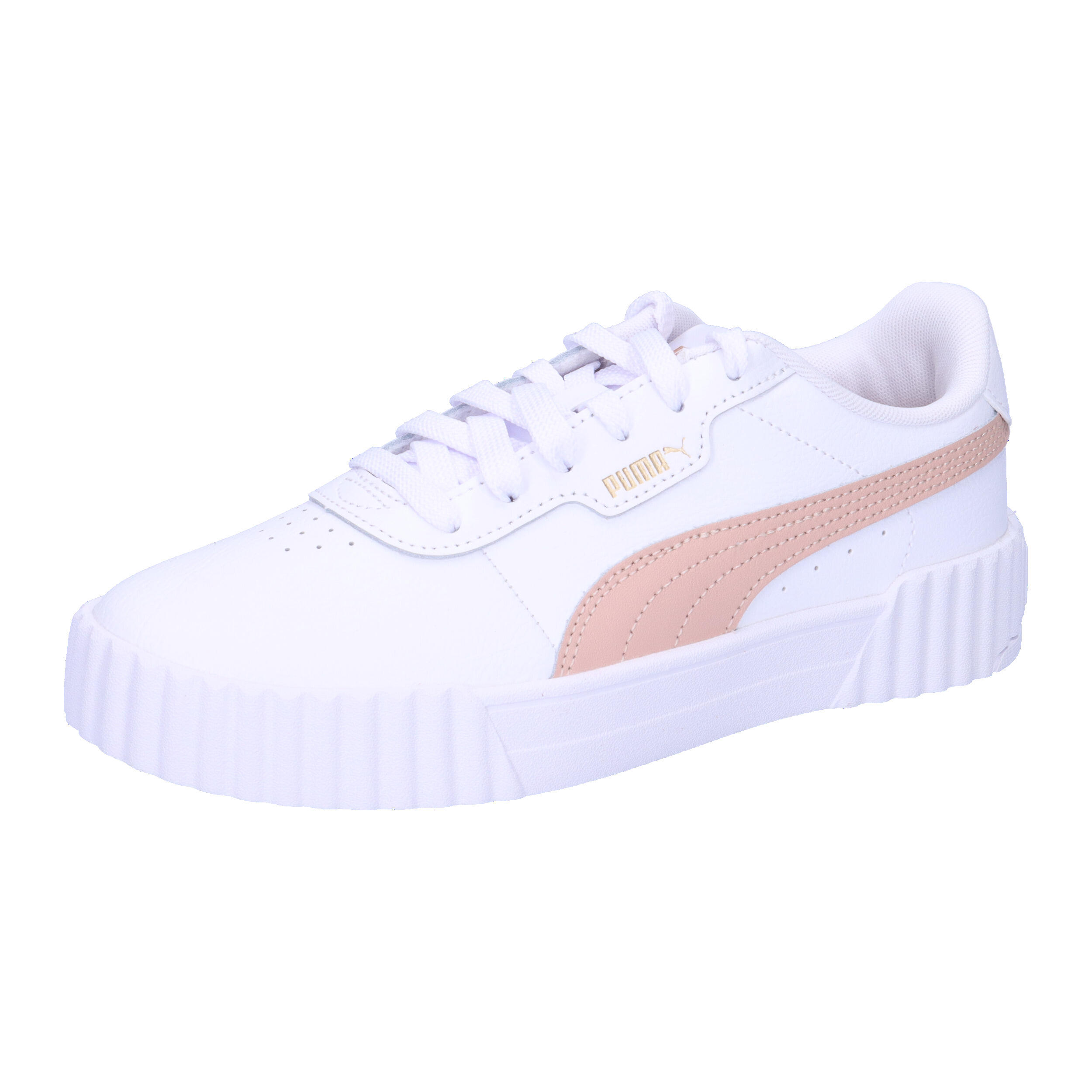 PUMA picture