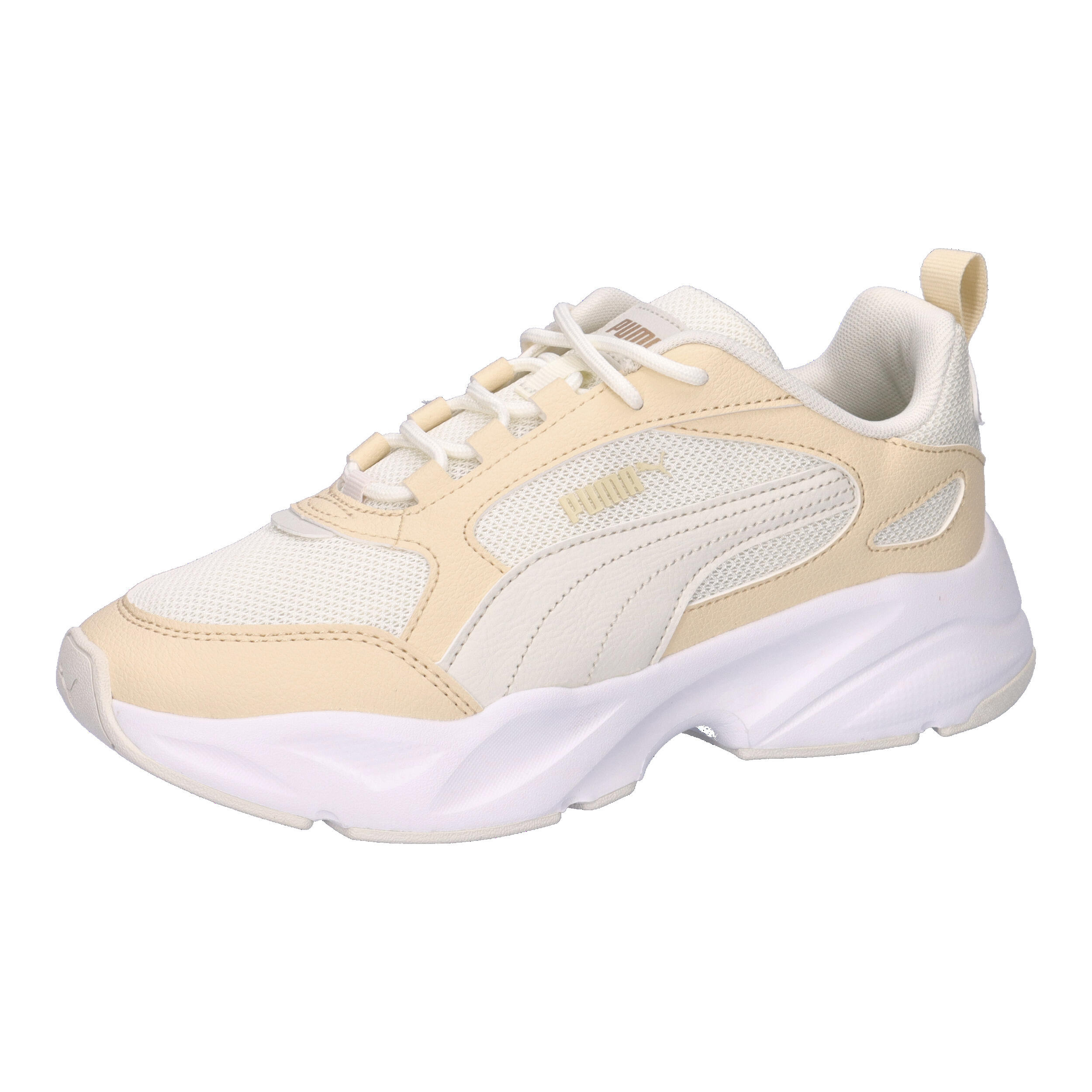 PUMA picture