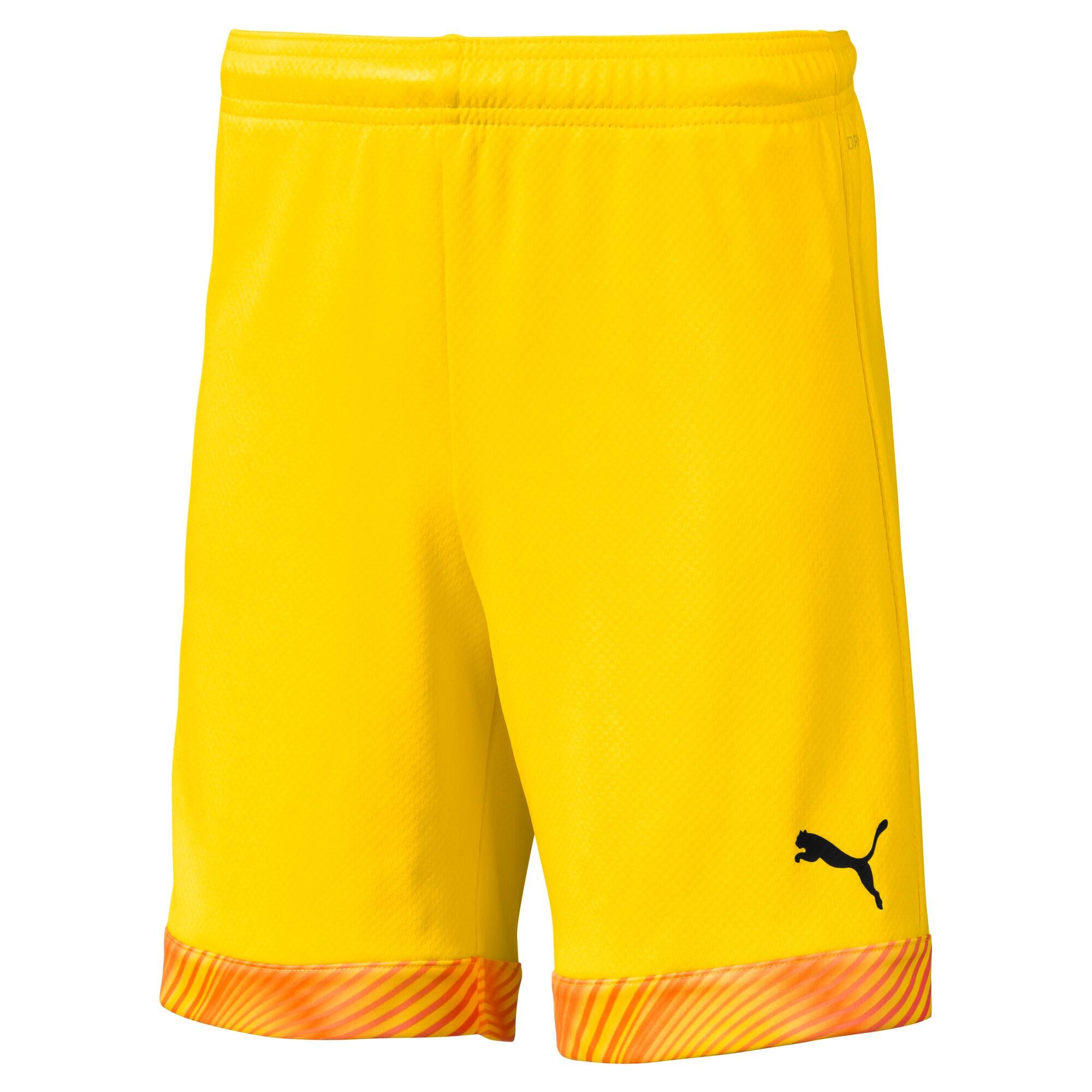 PUMA picture