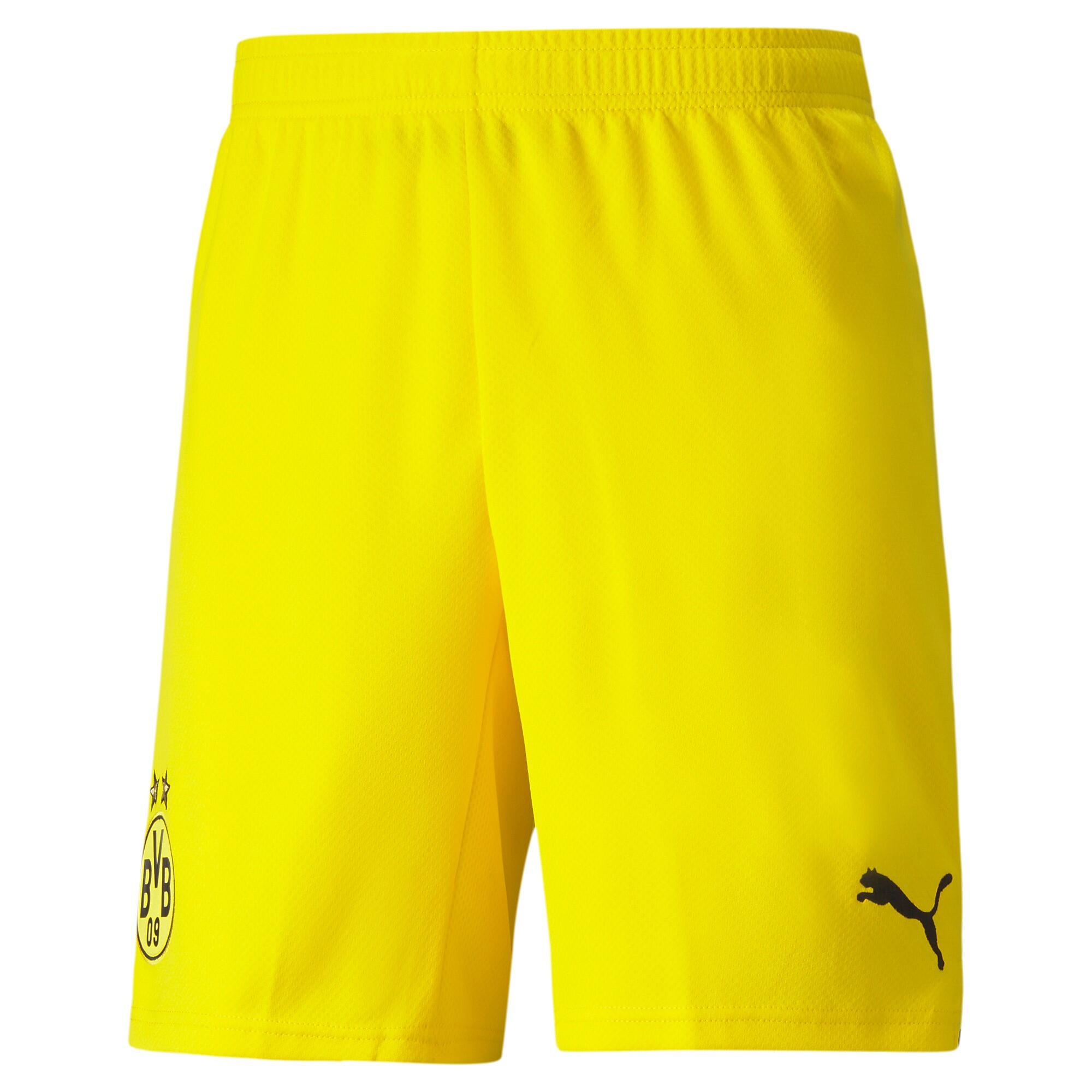 PUMA picture