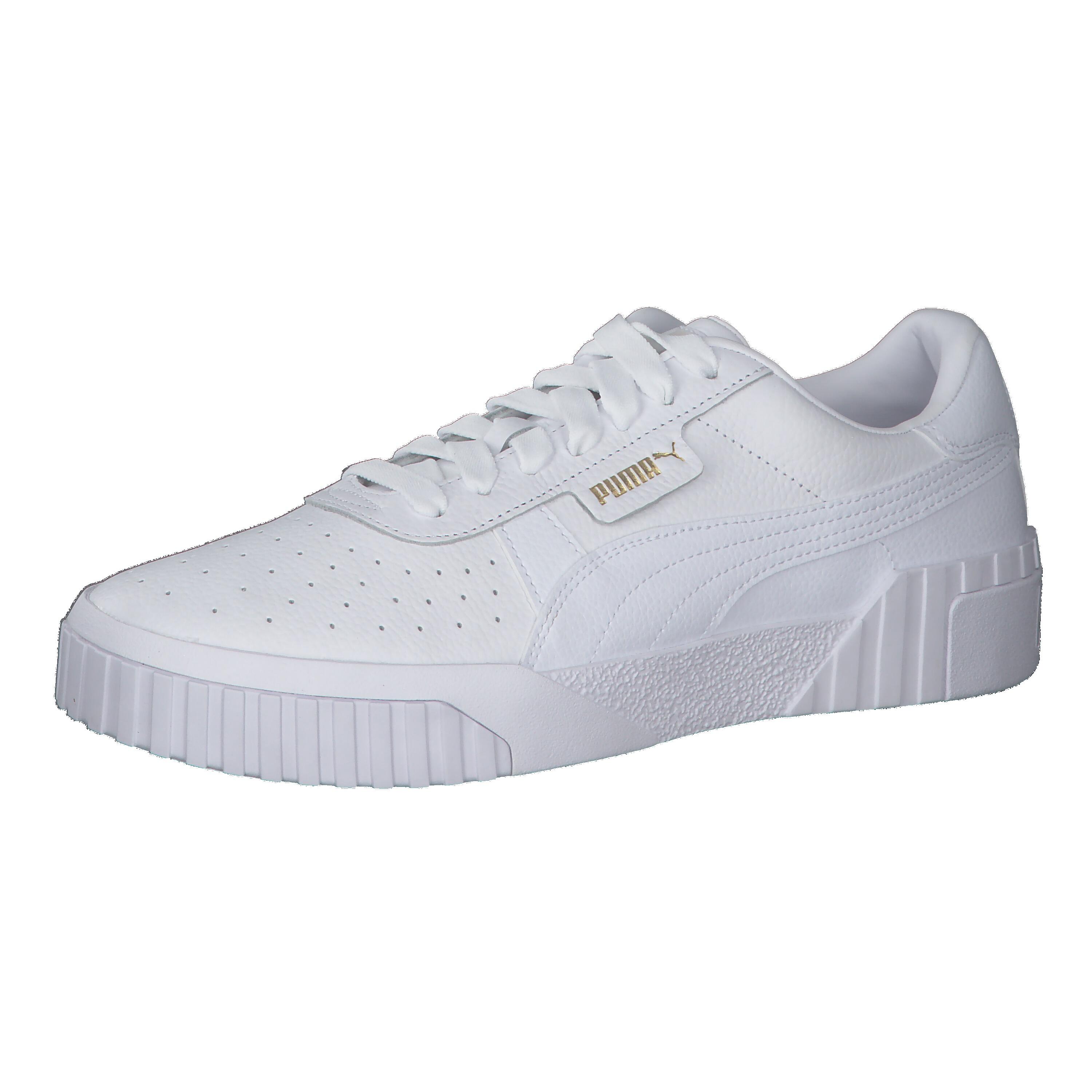 PUMA picture