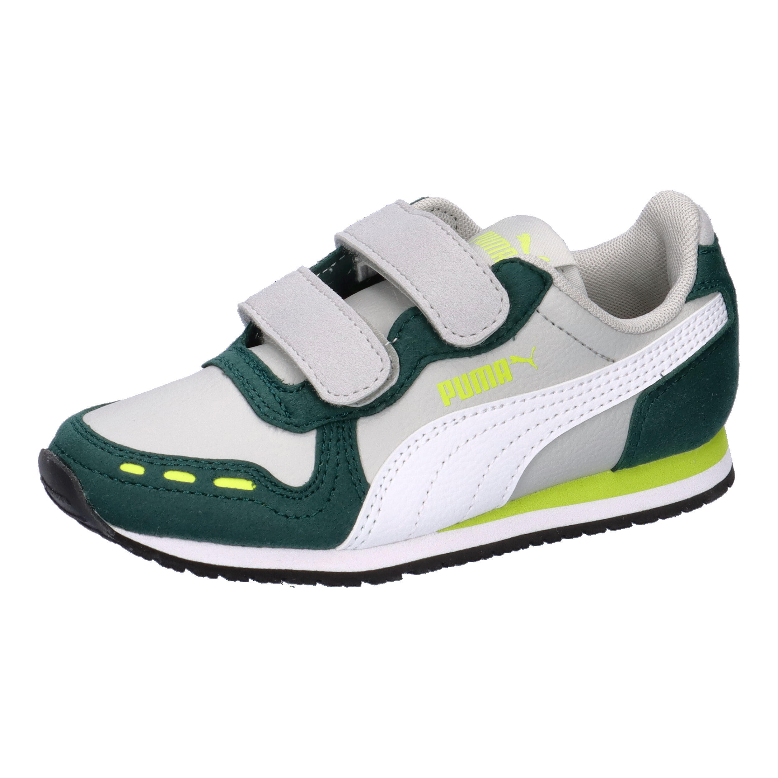 PUMA picture