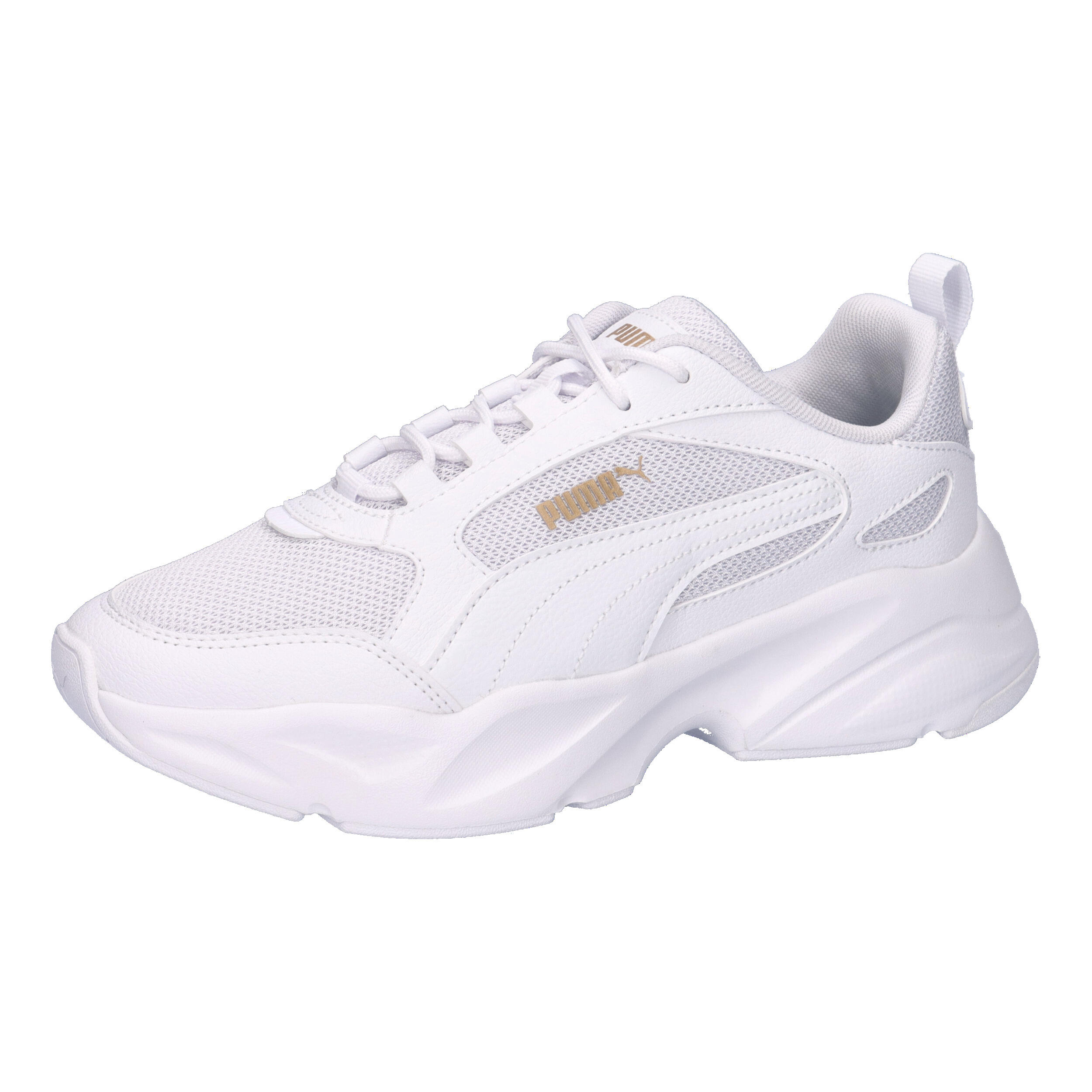 PUMA picture