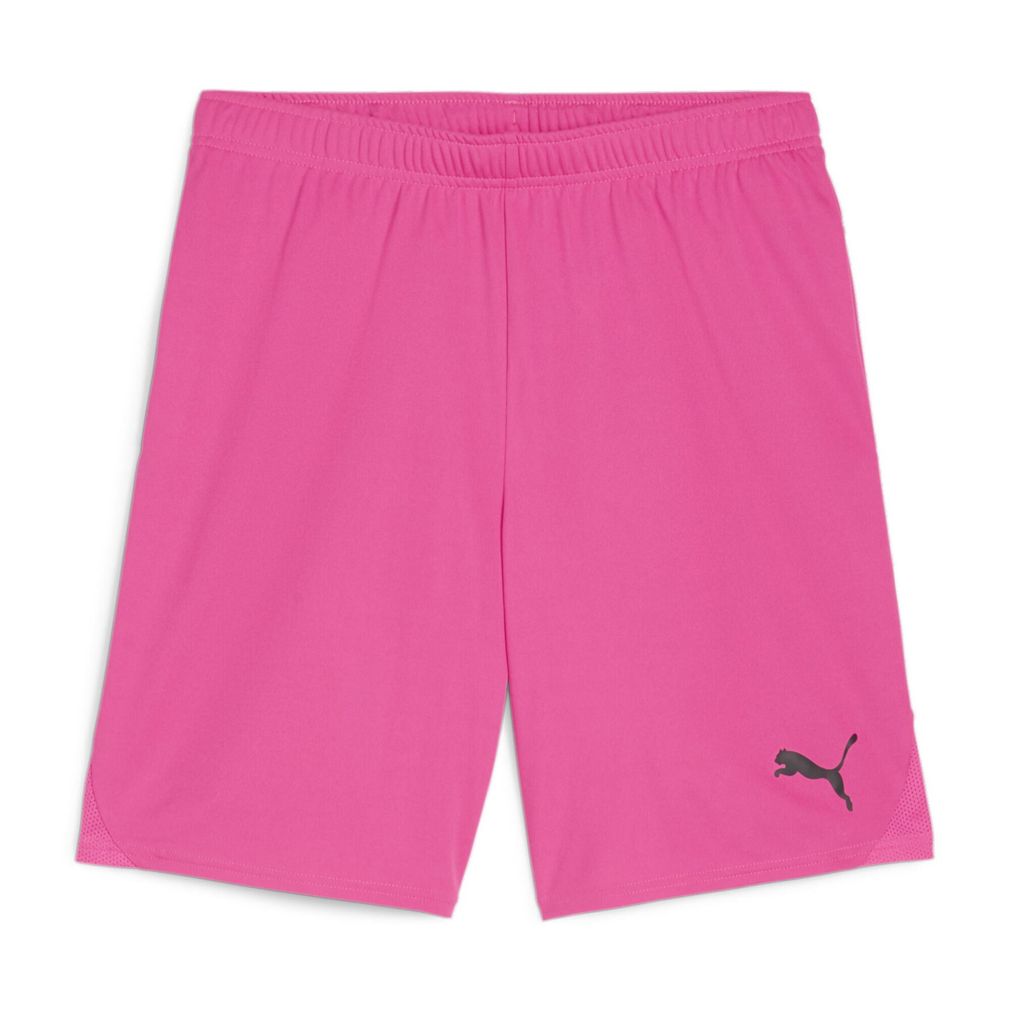 PUMA Short Puma TeamGoal