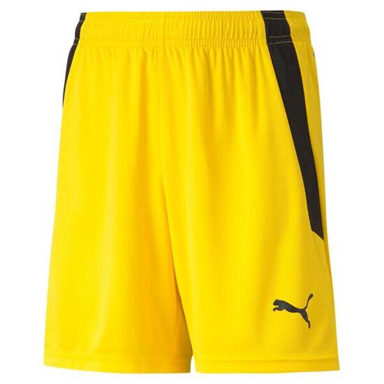 Spodenki dziecięce Puma Team Liga