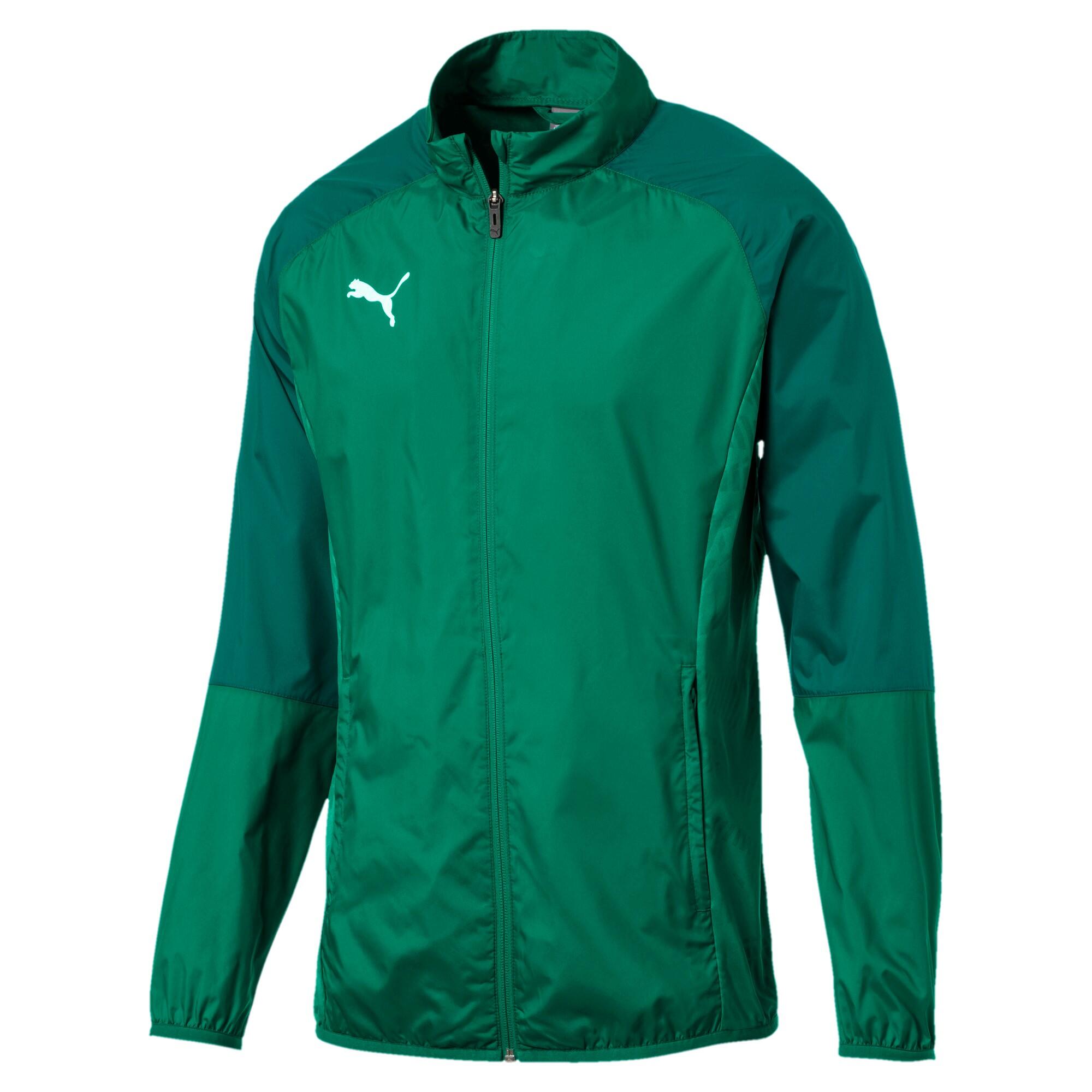 PUMA picture