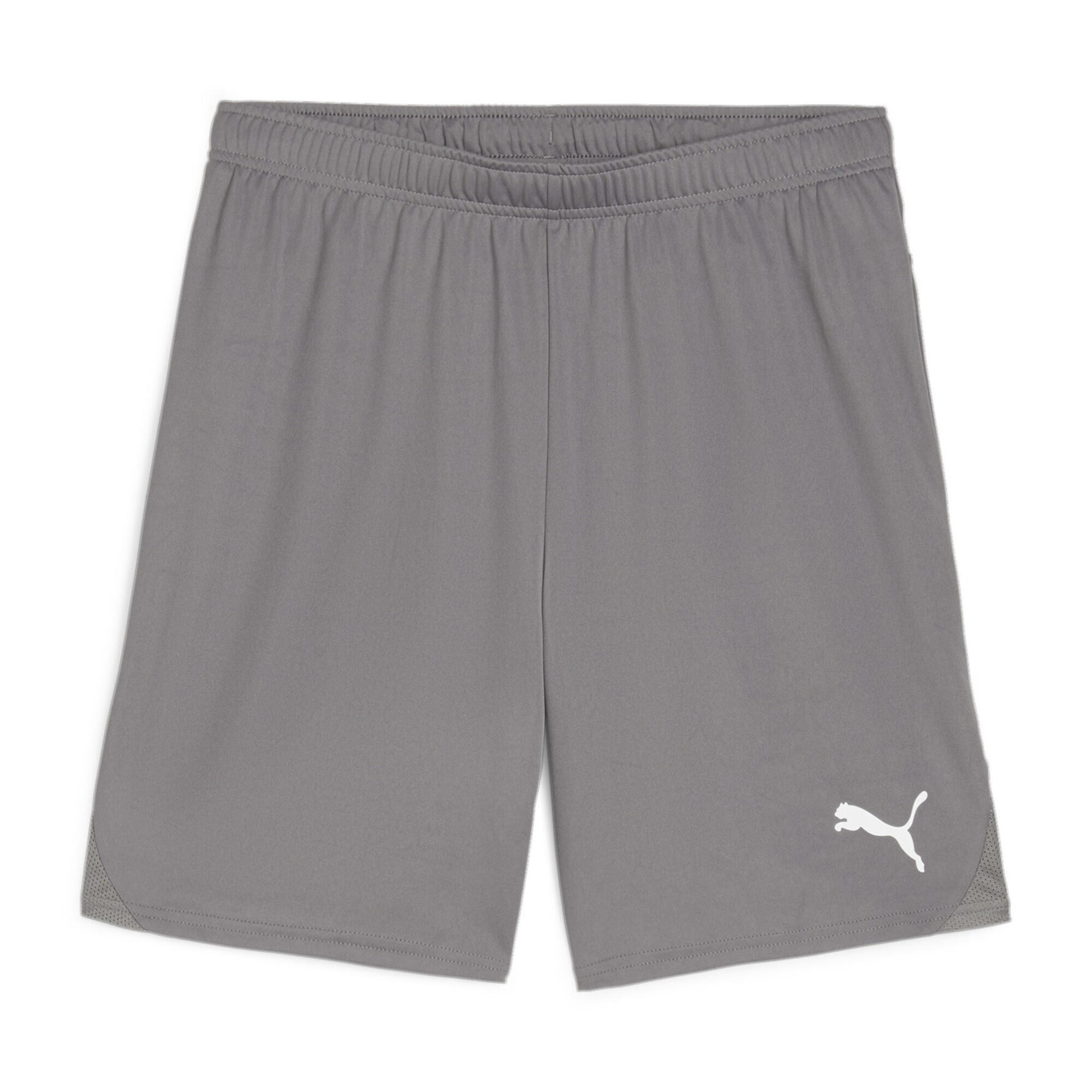 PUMA Short Puma TeamGloal