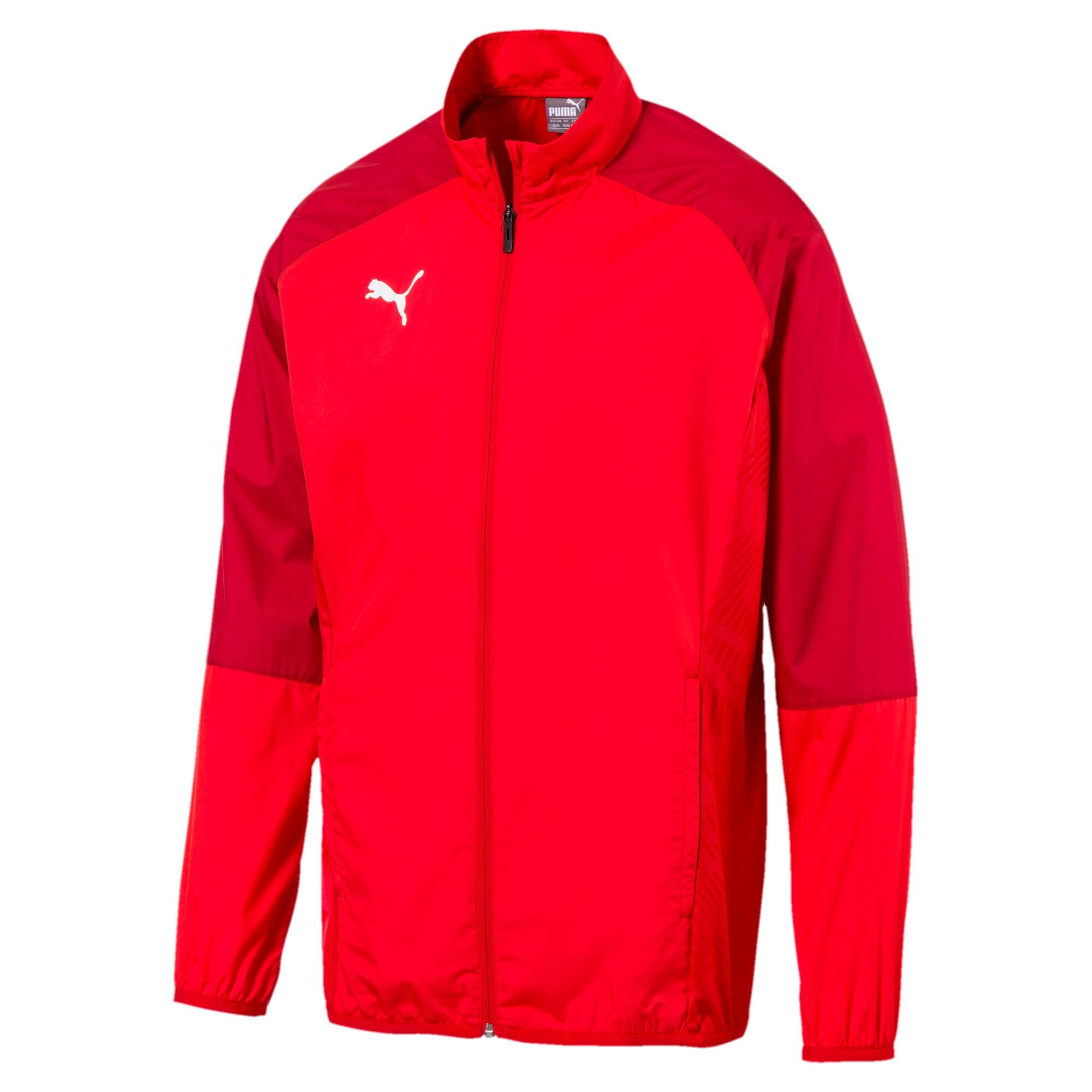 PUMA picture