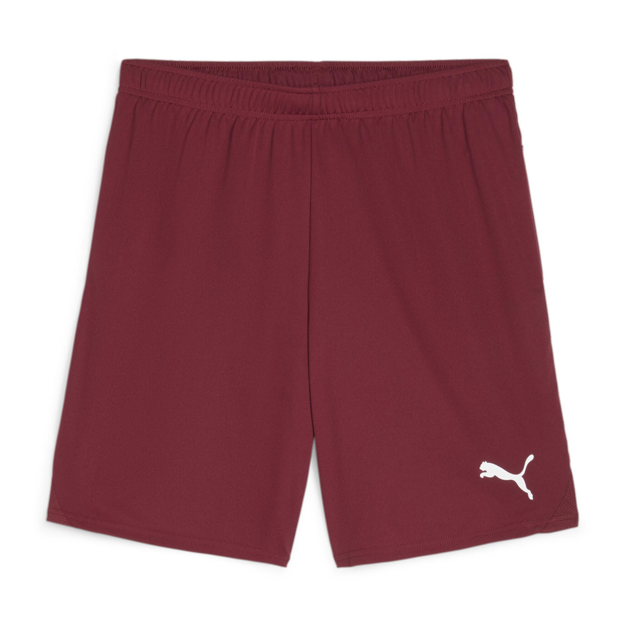 PUMA Short Puma TeamGloal