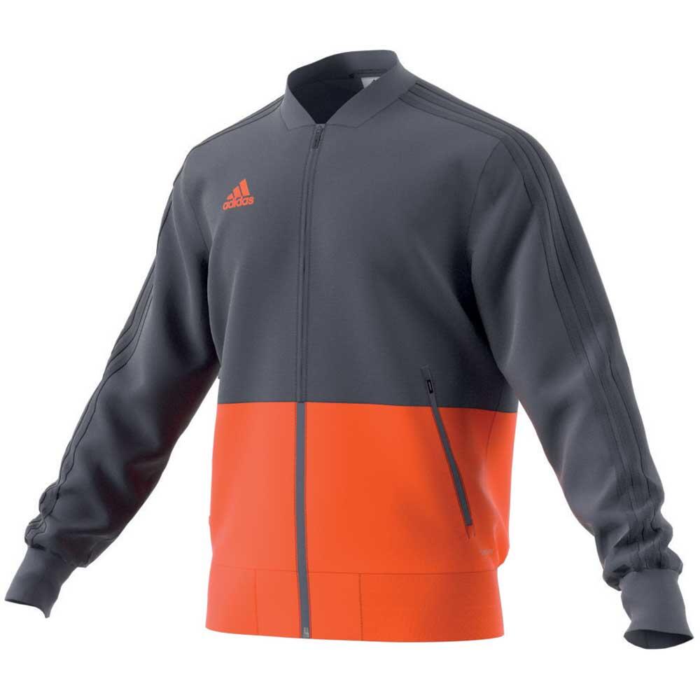 ADIDAS picture