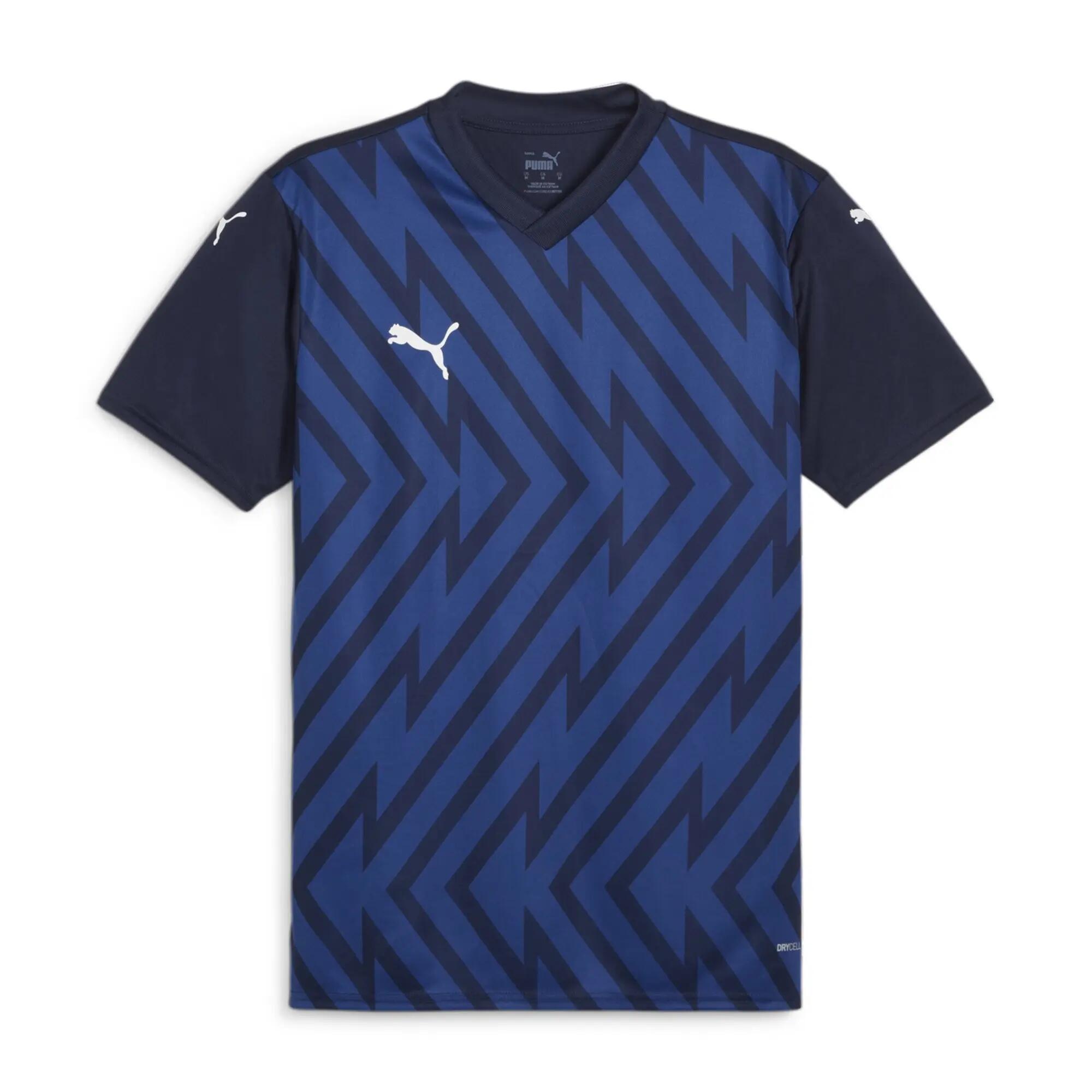 PUMA picture