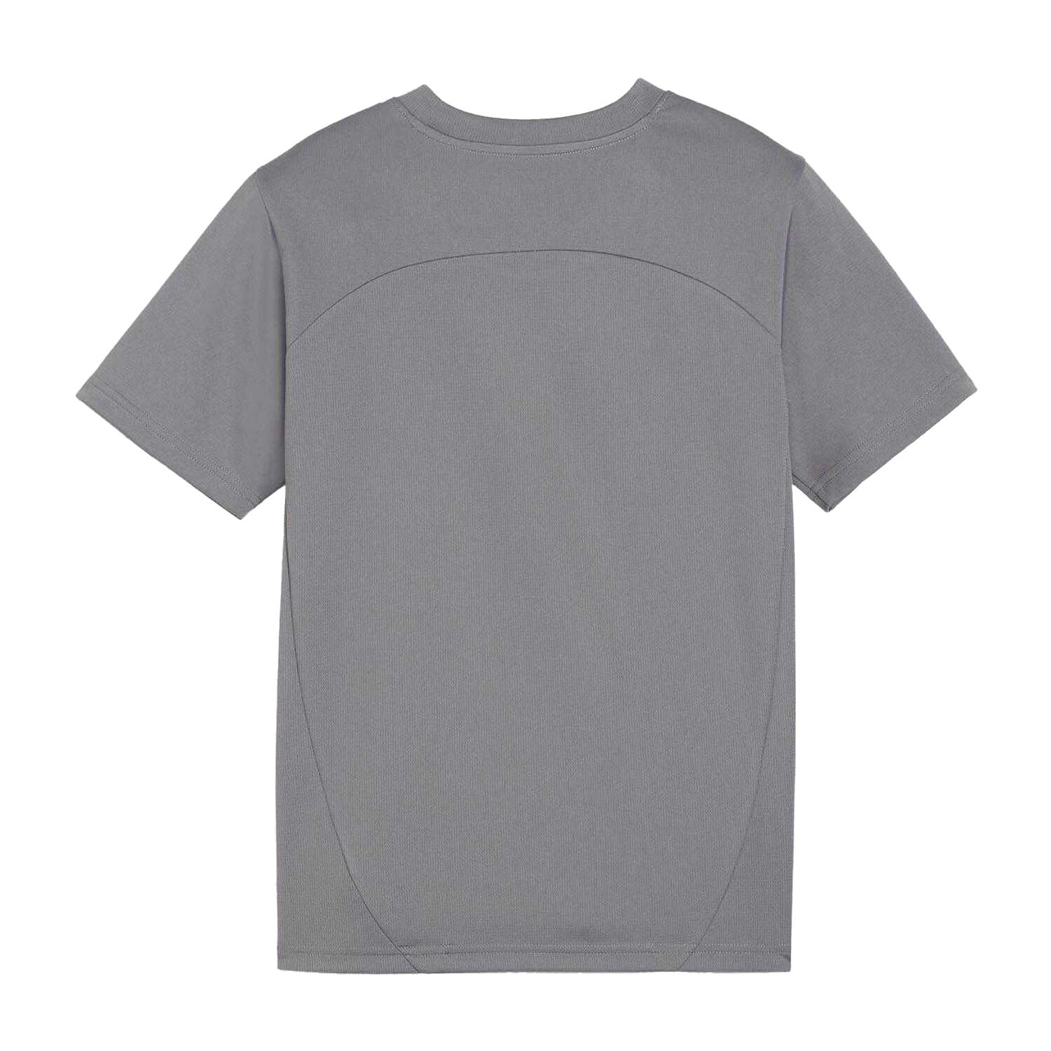 Kinder-Trainingsshirt Puma TEAMFINAL grau 100% synthetisch 2/2