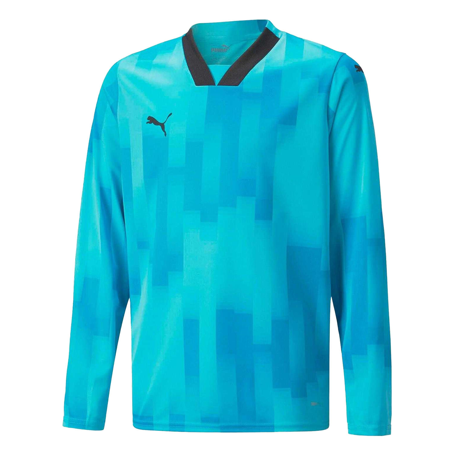 PUMA Childrens/Kids Teamtarget LongSleeved Goalkeeper Jersey (Blue)