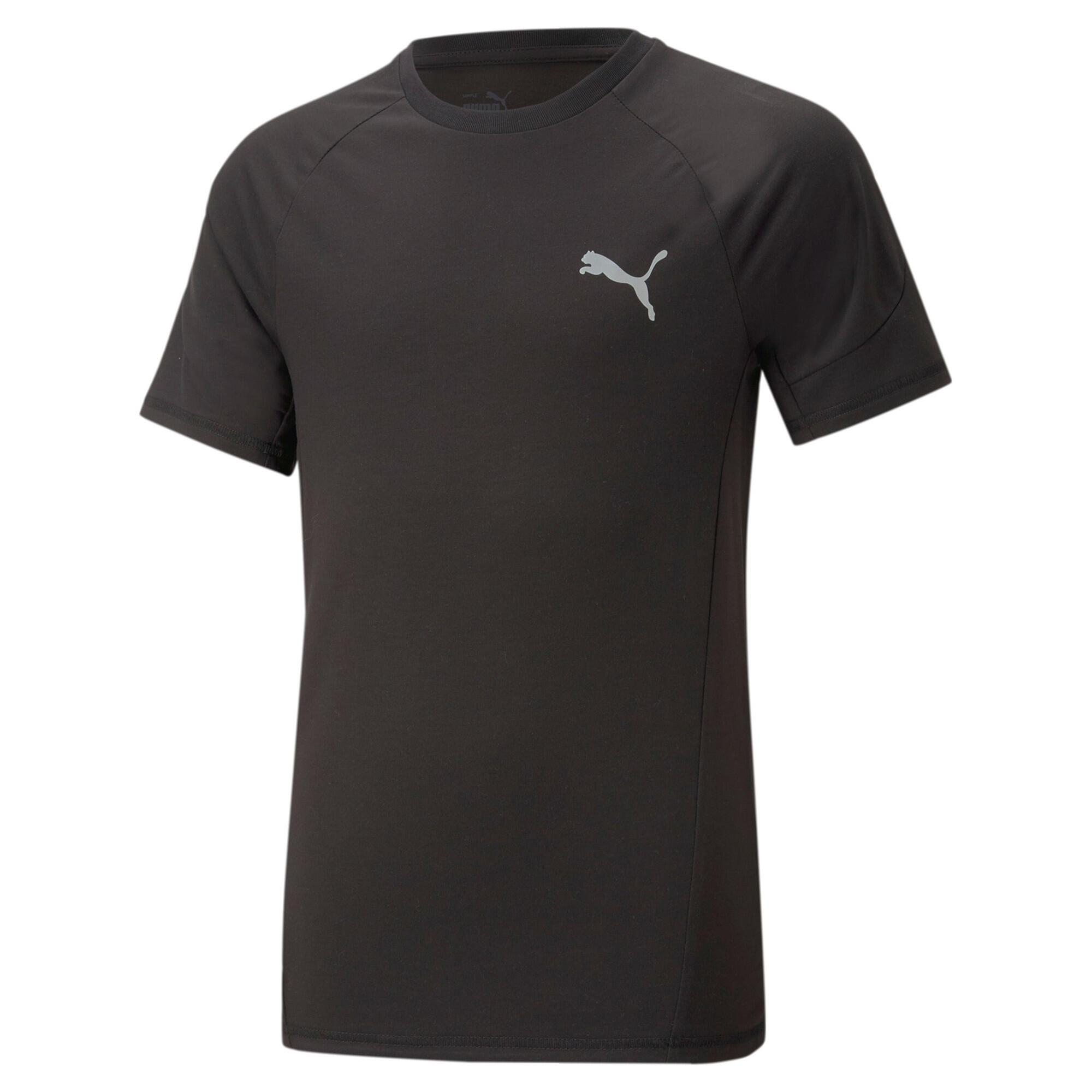 PUMA picture