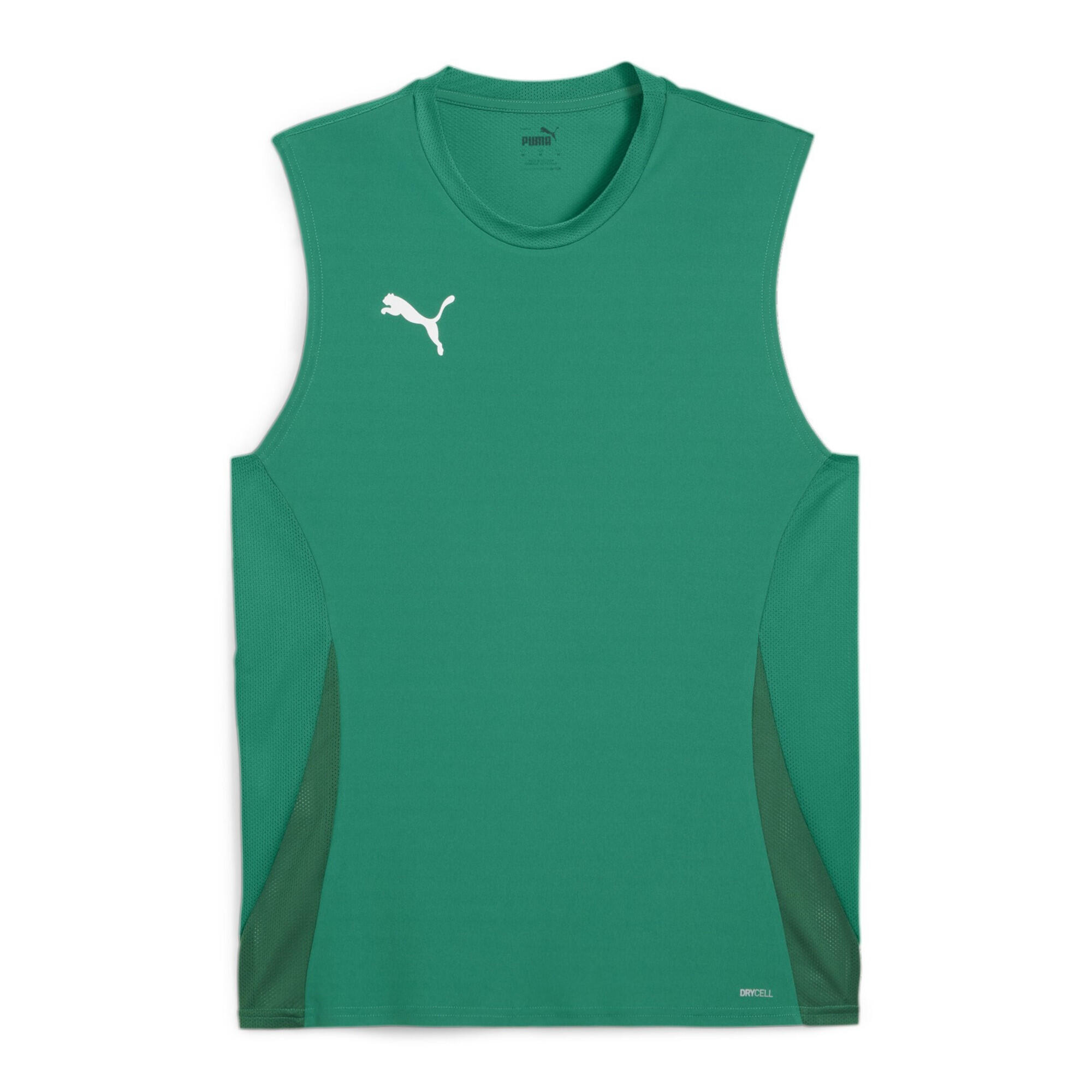 PUMA picture