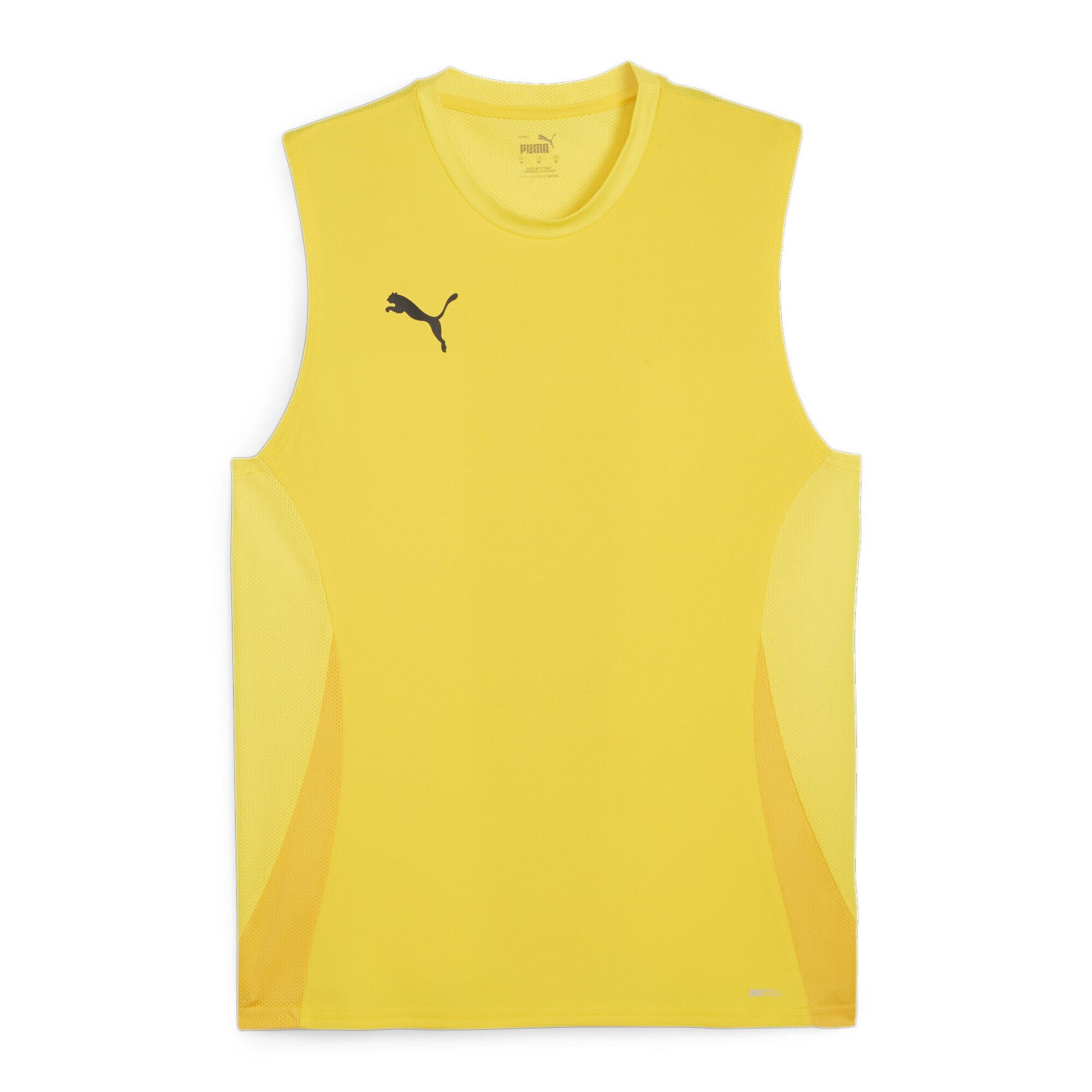 PUMA picture