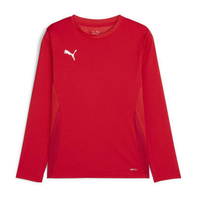 Puma Kinder Langarm Shirt teamGOAL LS Jersey Jr 705751