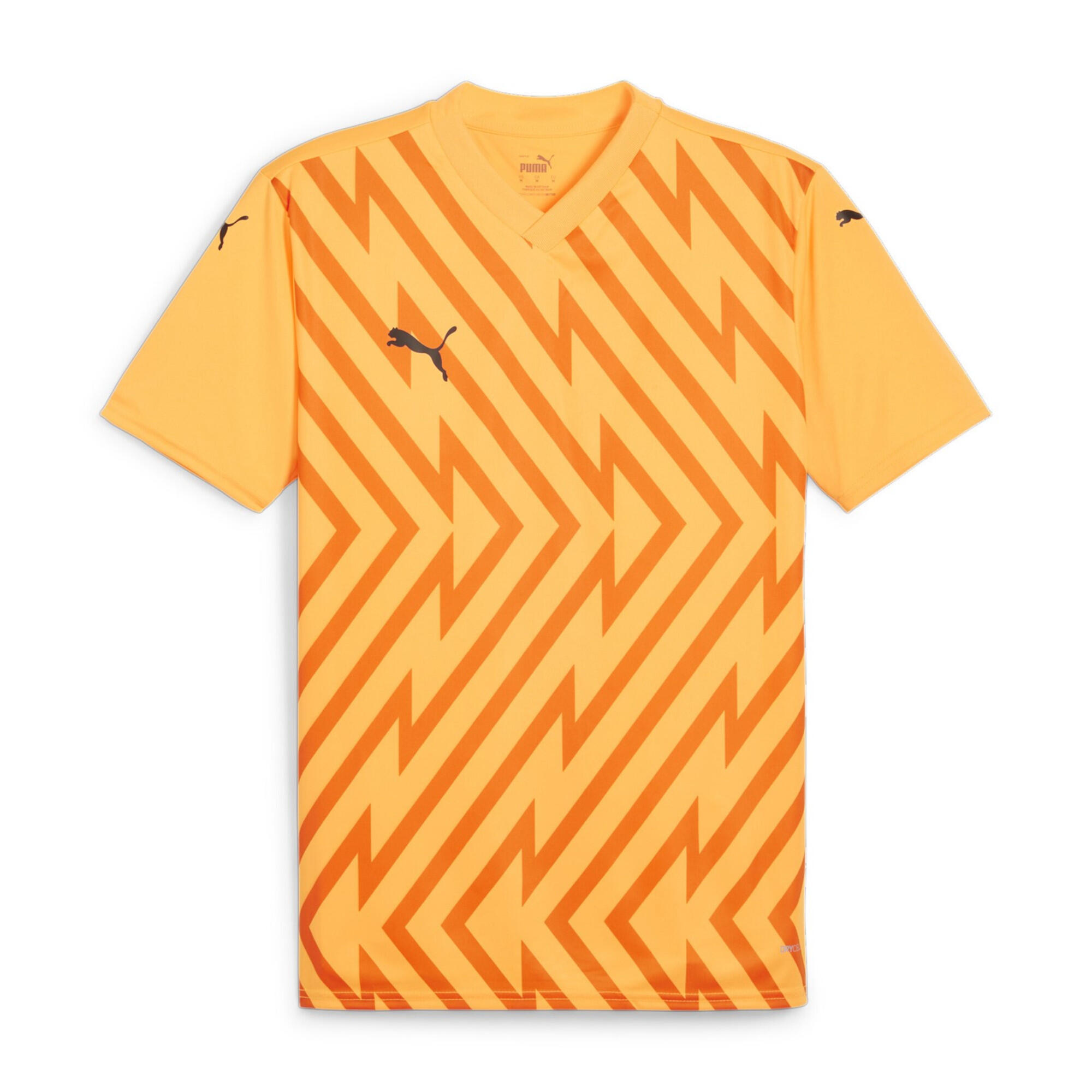PUMA picture