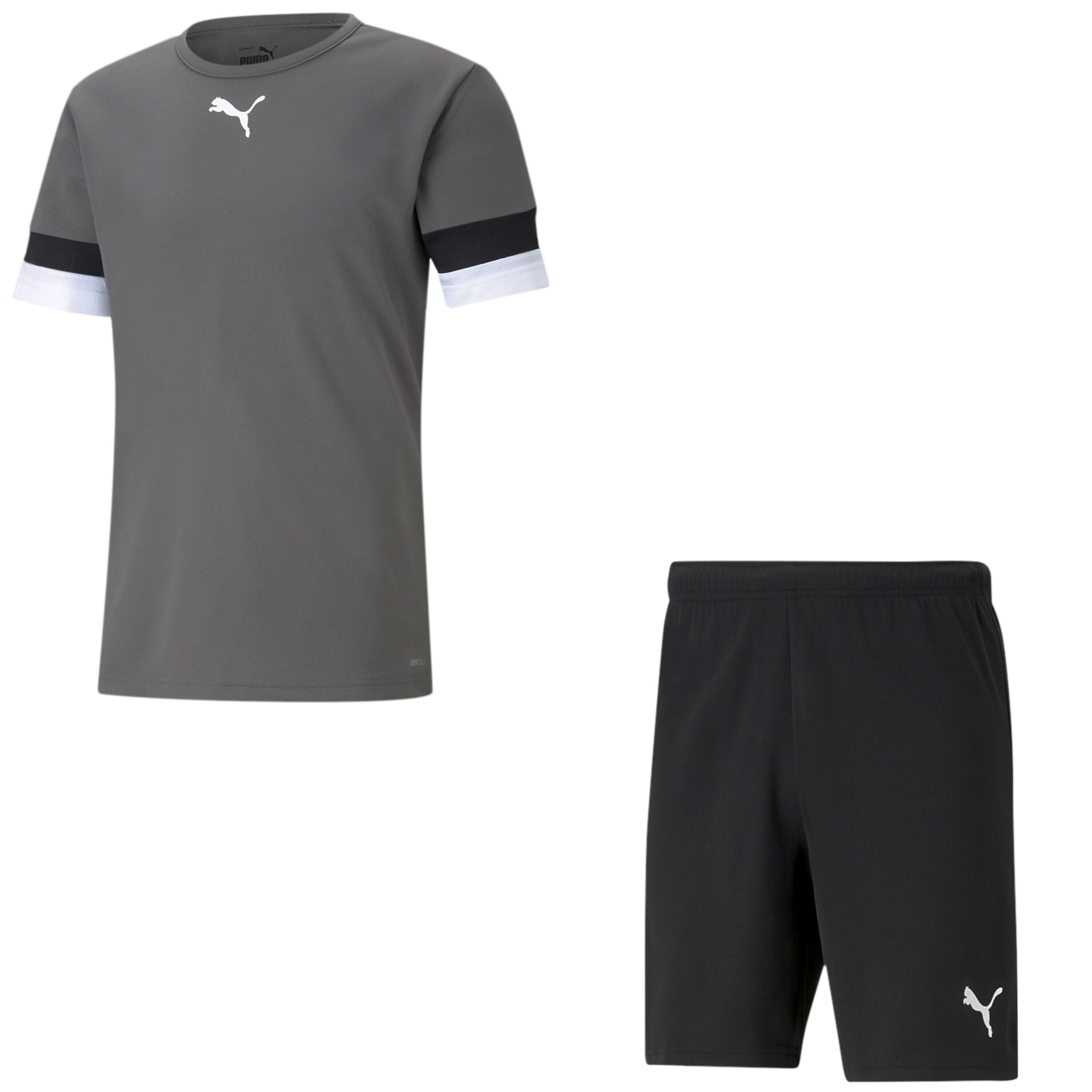 PUMA picture