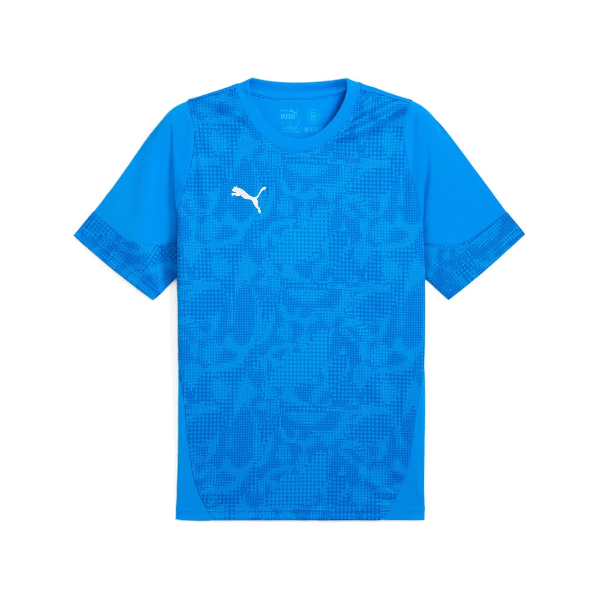 PUMA picture