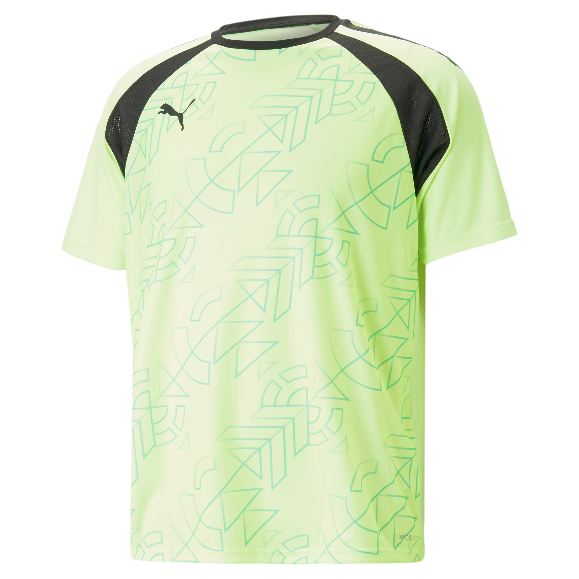 PUMA picture