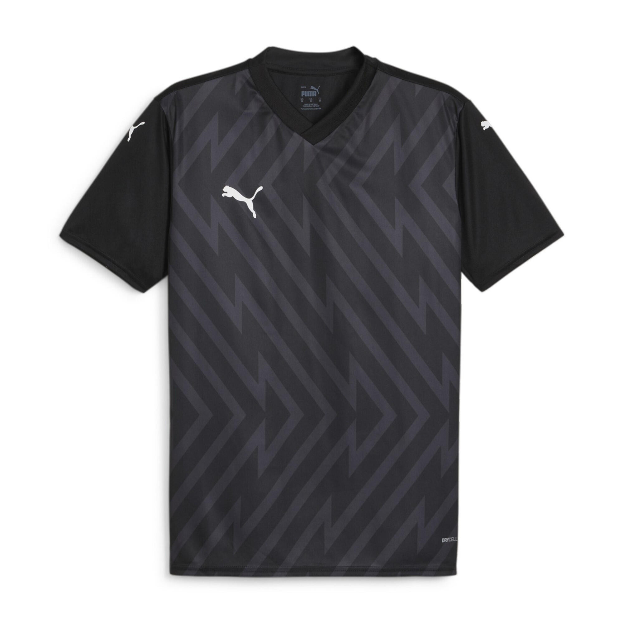 PUMA picture