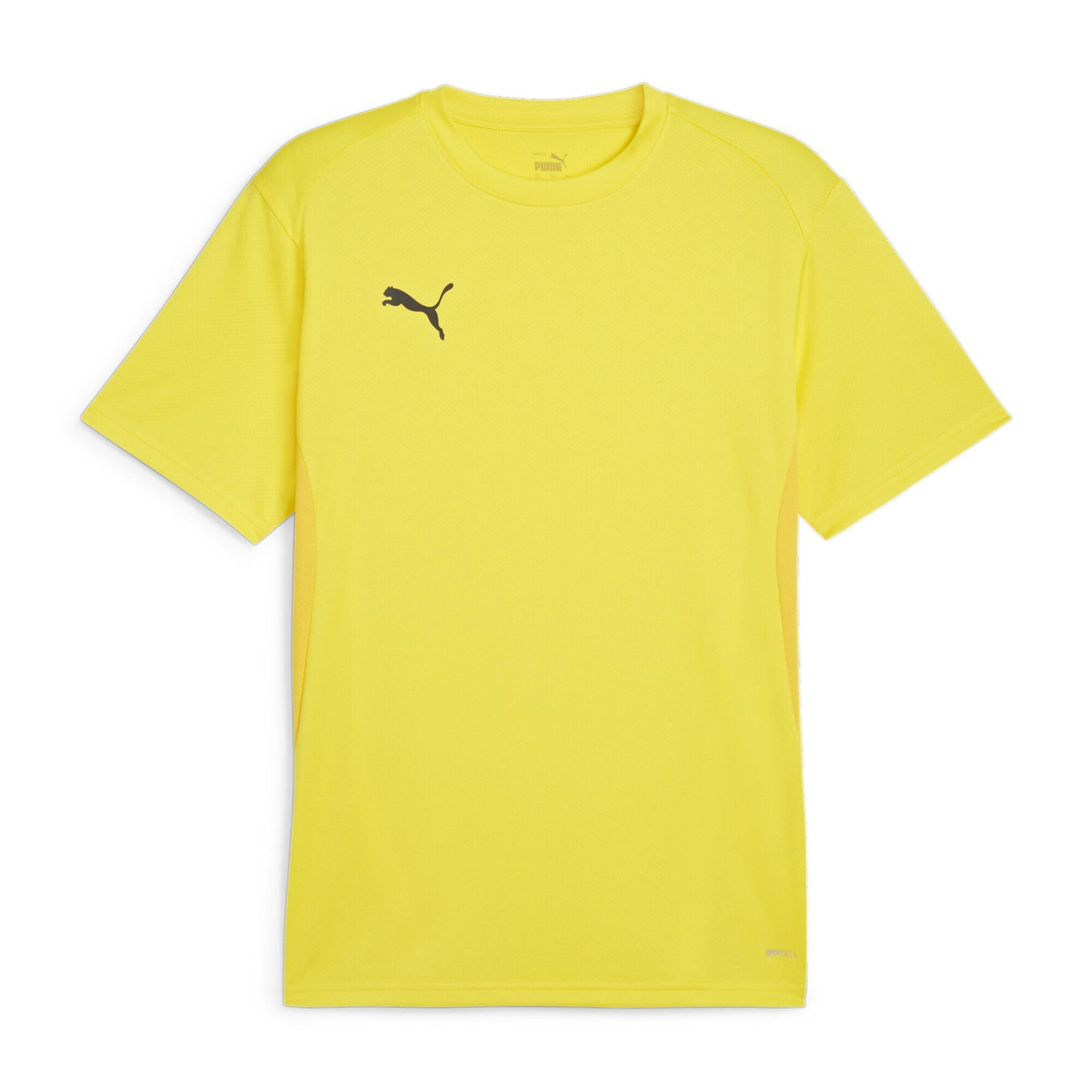 PUMA picture