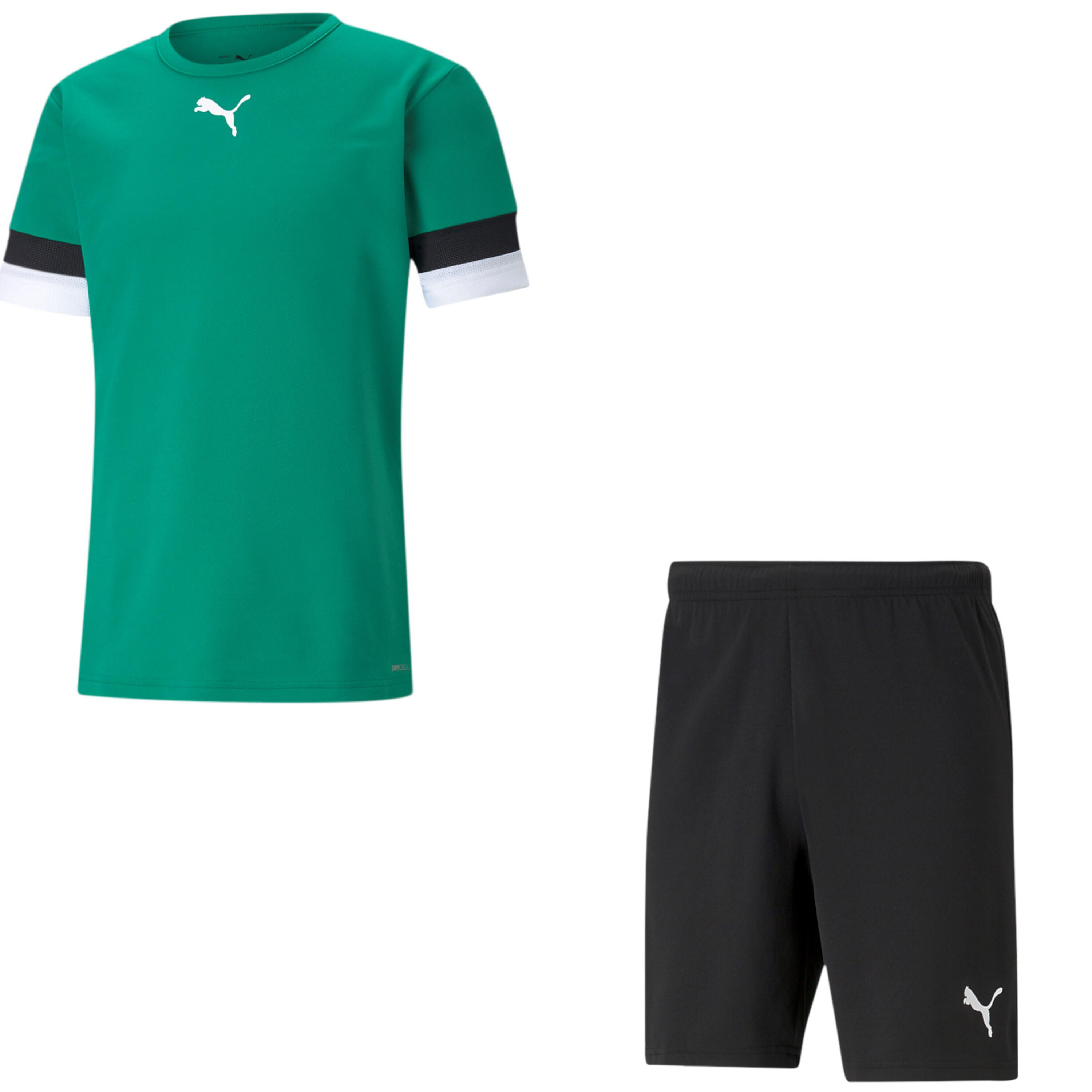 PUMA picture