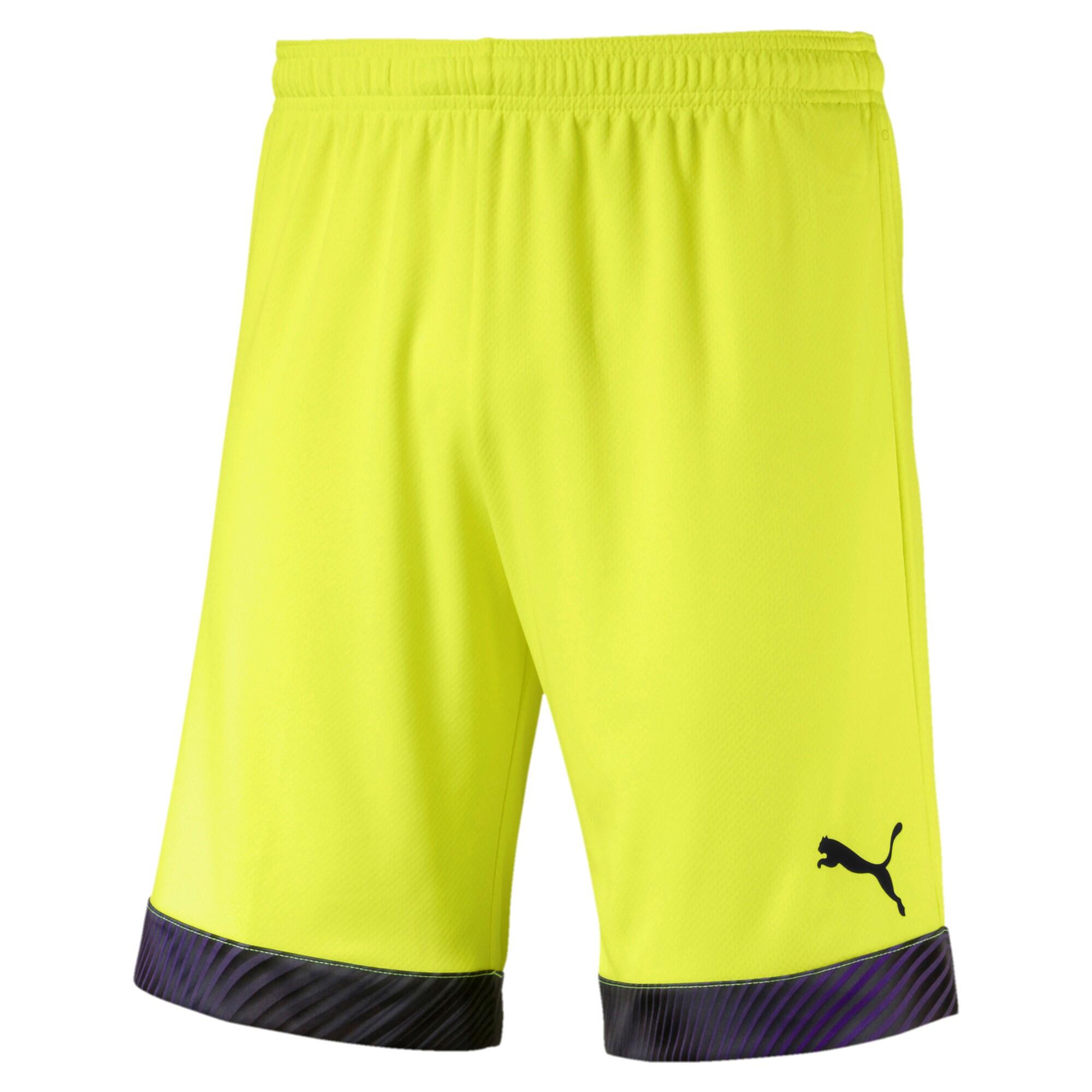 Puma Herren Short Cup Shorts 704034 1/1