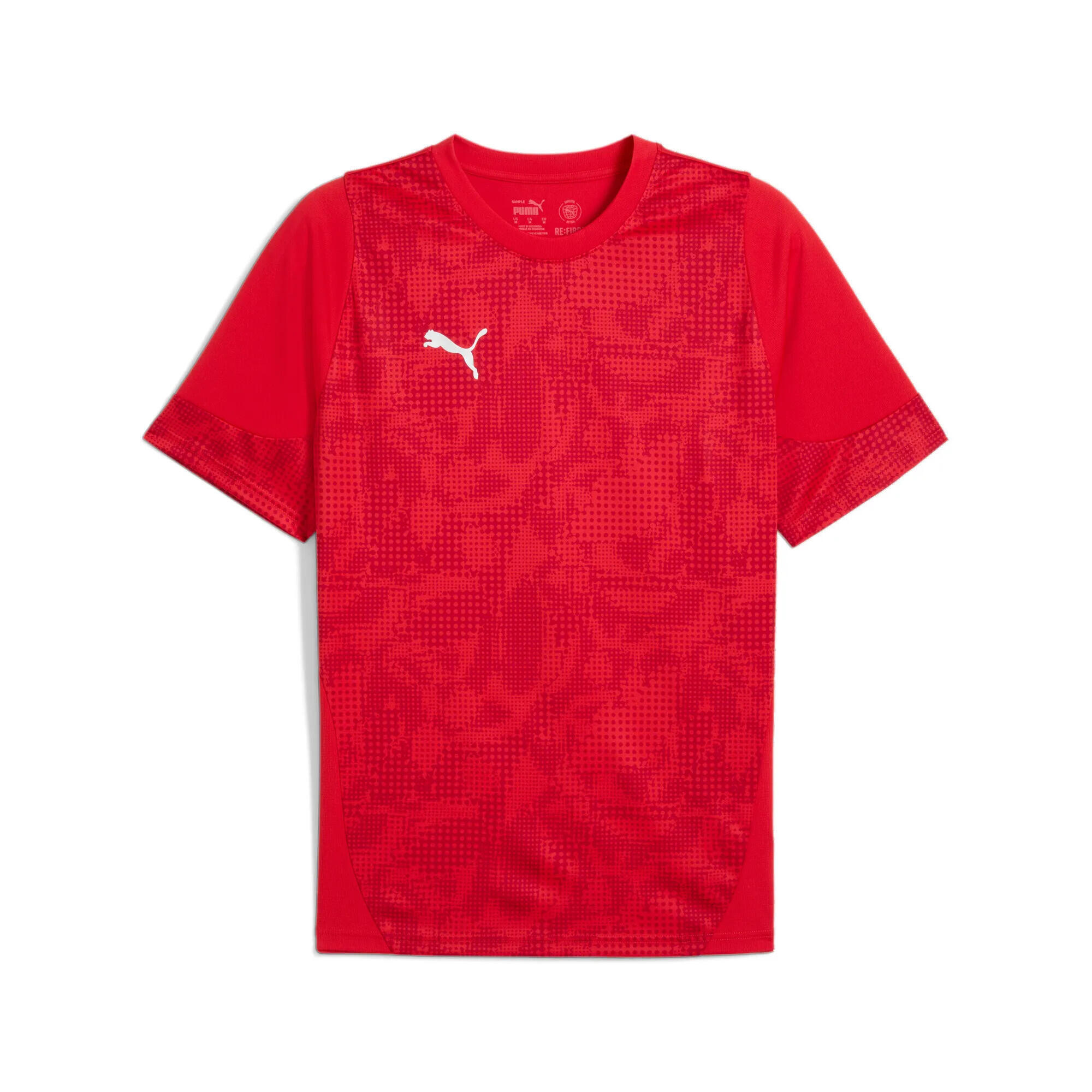 PUMA picture